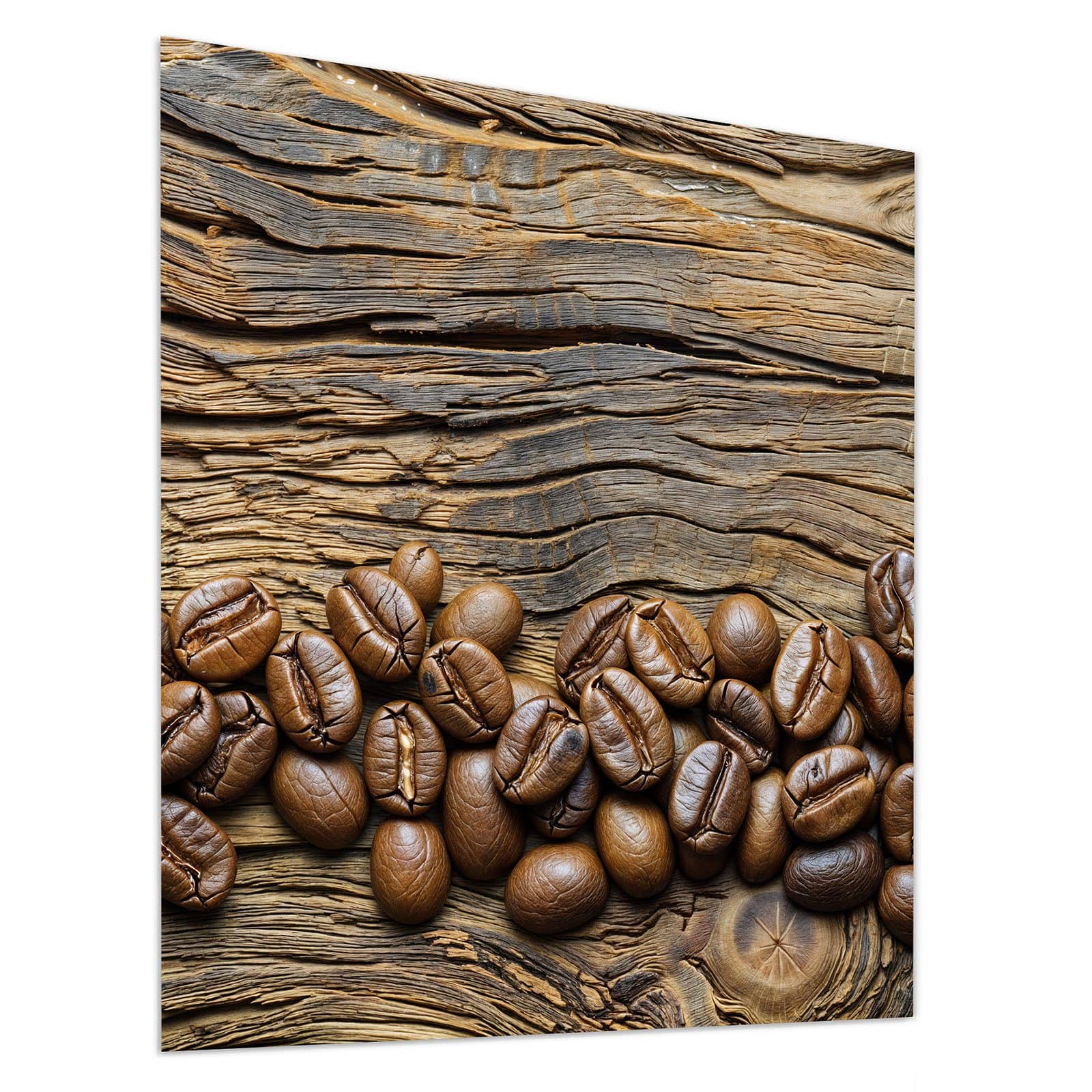 #grösse_90 x 100 cm