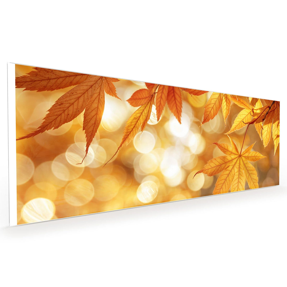 Küchenrückwand aus Glas im Hochformat mit Motiv Ahorn im Gegenlicht: Goldgelbe Fächerahorn-Blätter im Gegenlicht vor goldenem Bokeh