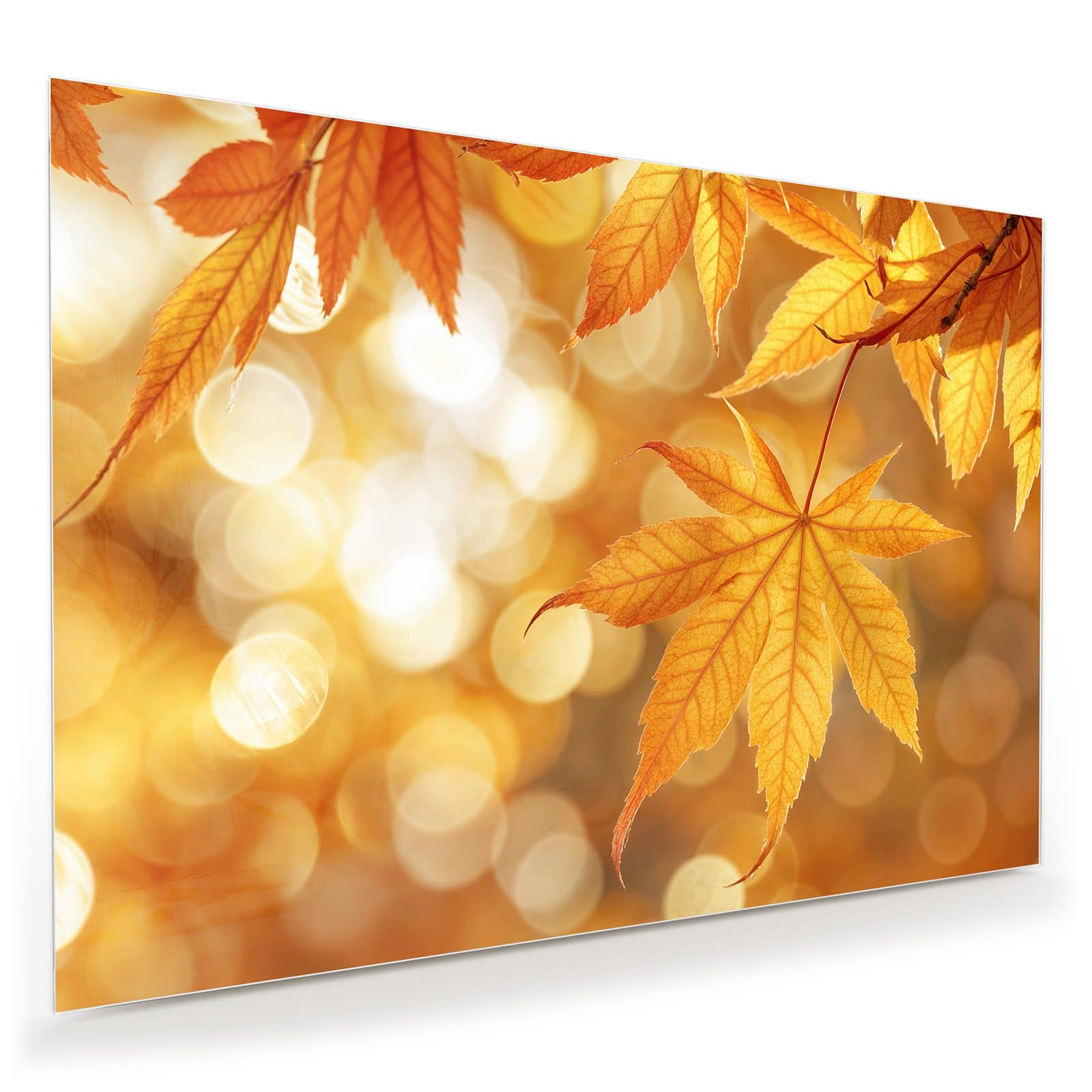 #grösse_100 x 70 cm