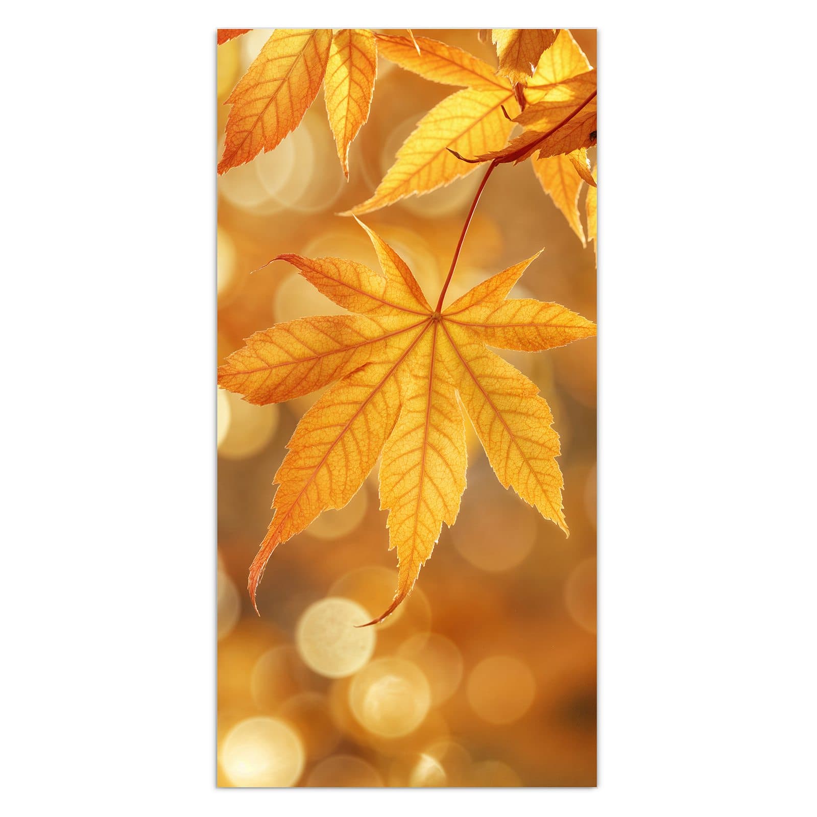 #grösse_30 x 60 cm #grösse_40 x 80 cm #grösse_50 x 100 cm #grösse_55 x 110 cm #grösse_60 x 120 cm