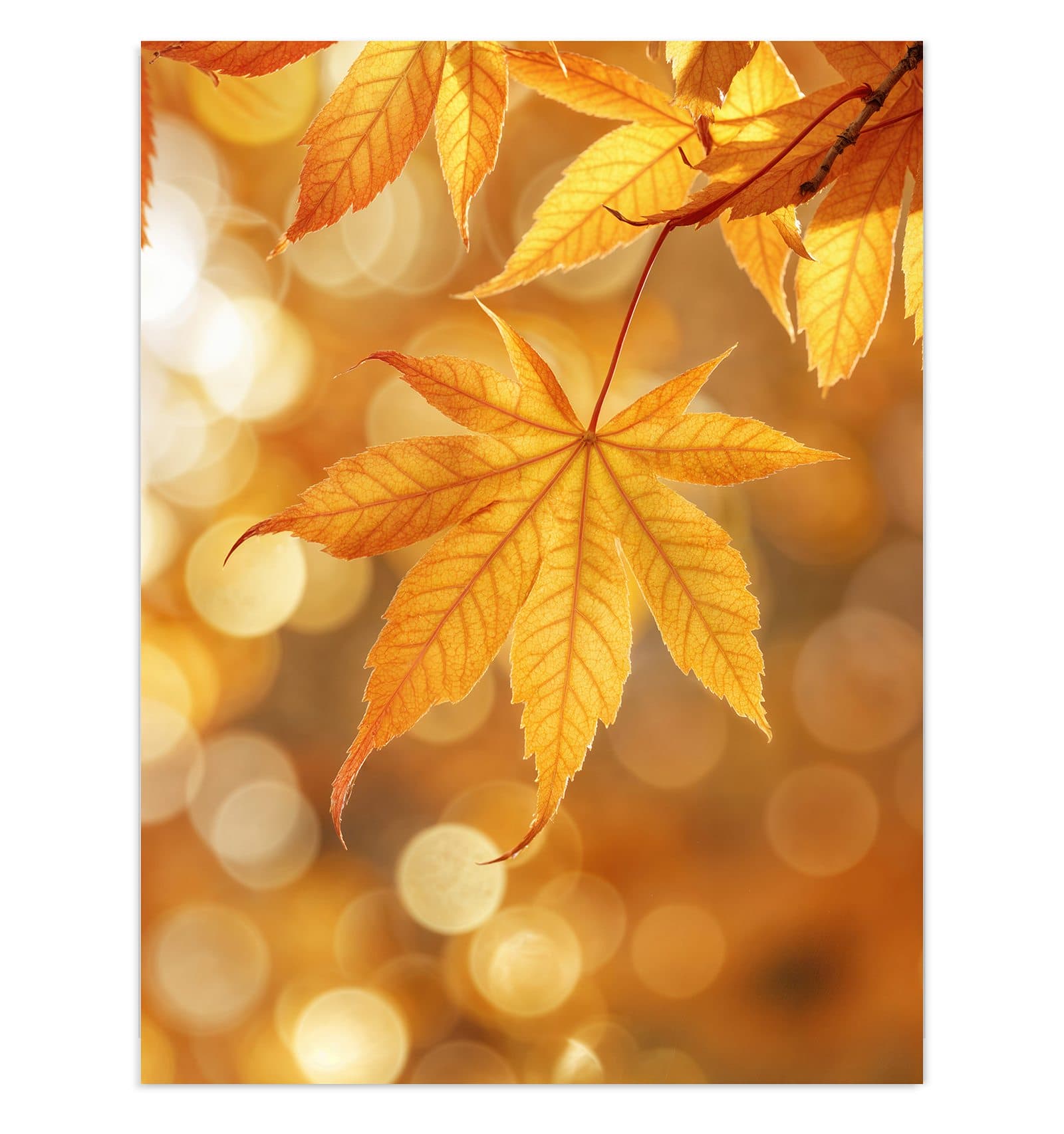 #grösse_30 x 40 cm #grösse_60 x 80 cm #grösse_75 x 100 cm