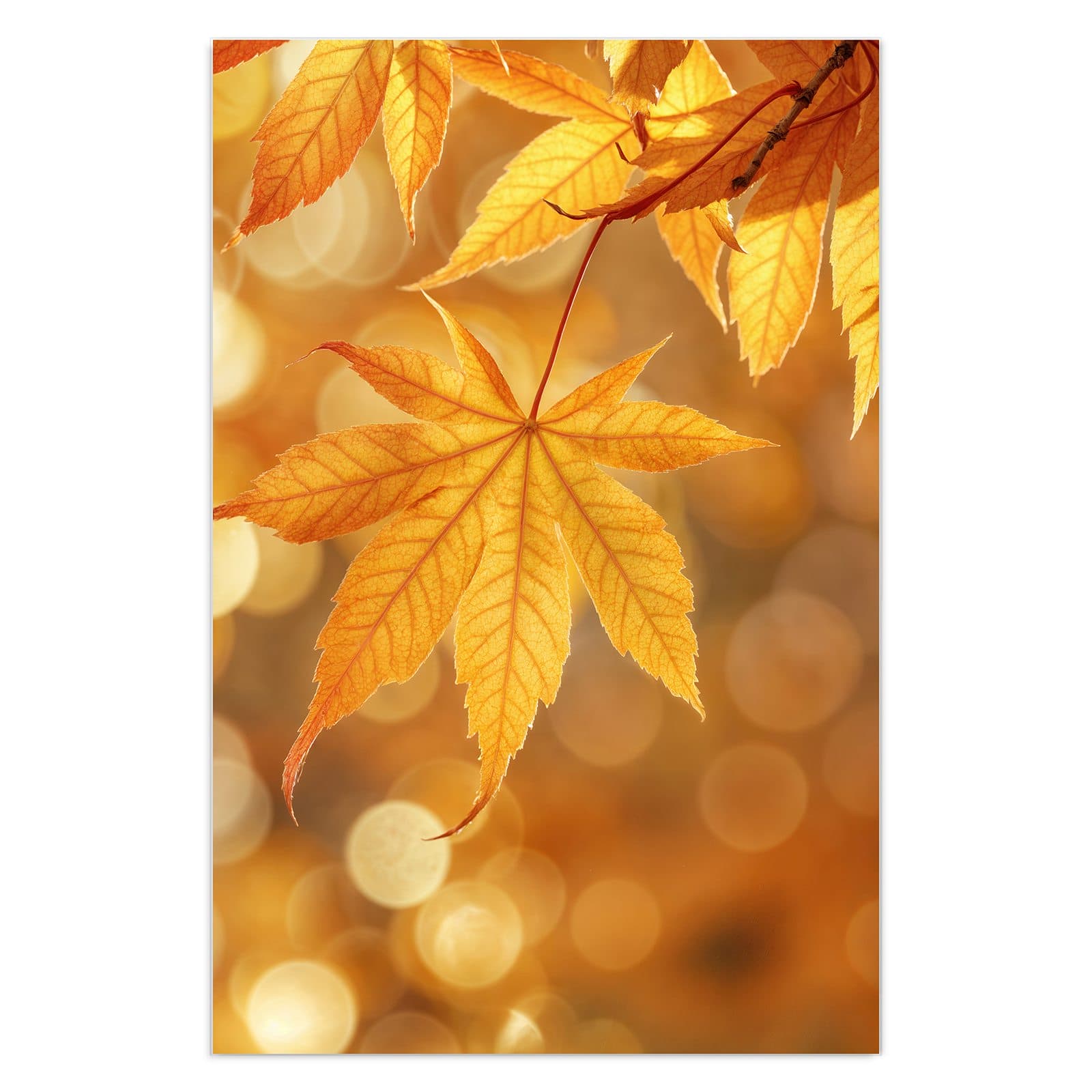 #grösse_40 x 60 cm #grösse_50 x 75 cm #grösse_60 x 90 cm
