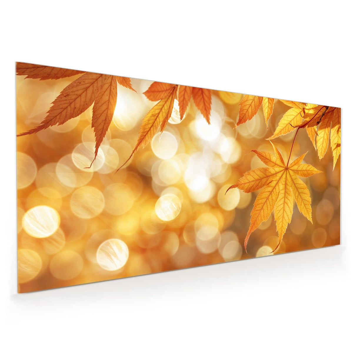 Küchenrückwand aus Glas im Hochformat mit Motiv Ahorn im Gegenlicht: Goldgelbe Fächerahorn-Blätter im Gegenlicht vor goldenem Bokeh
