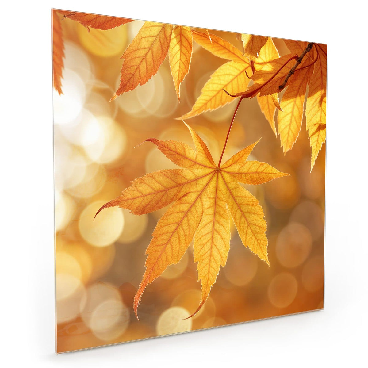 #grösse_40 x 40 cm #grösse_50 x 50 cm #grösse_60 x 60 cm