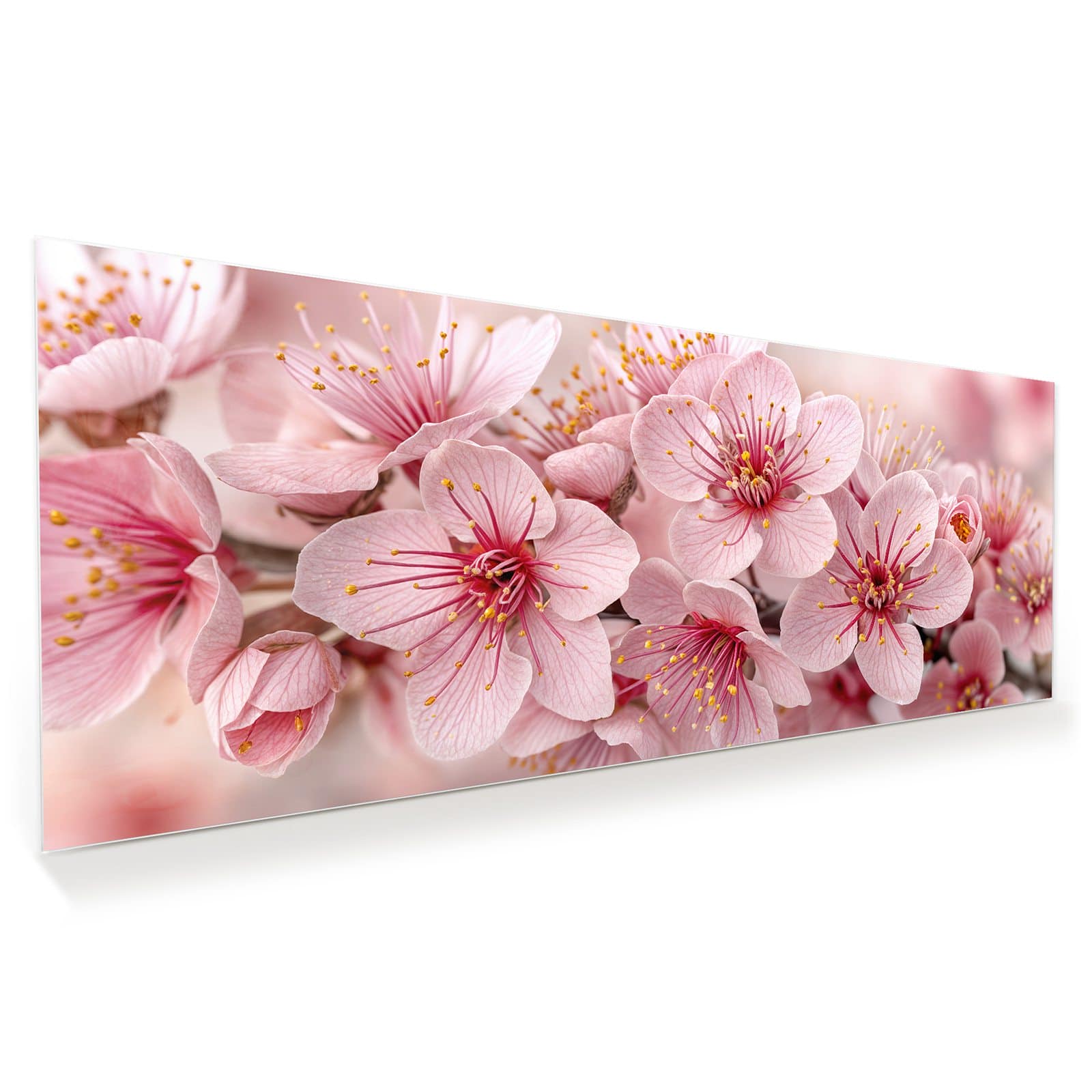 #grösse_100 x 40 cm #grösse_125 x 50 cm #grösse_150 x 60 cm