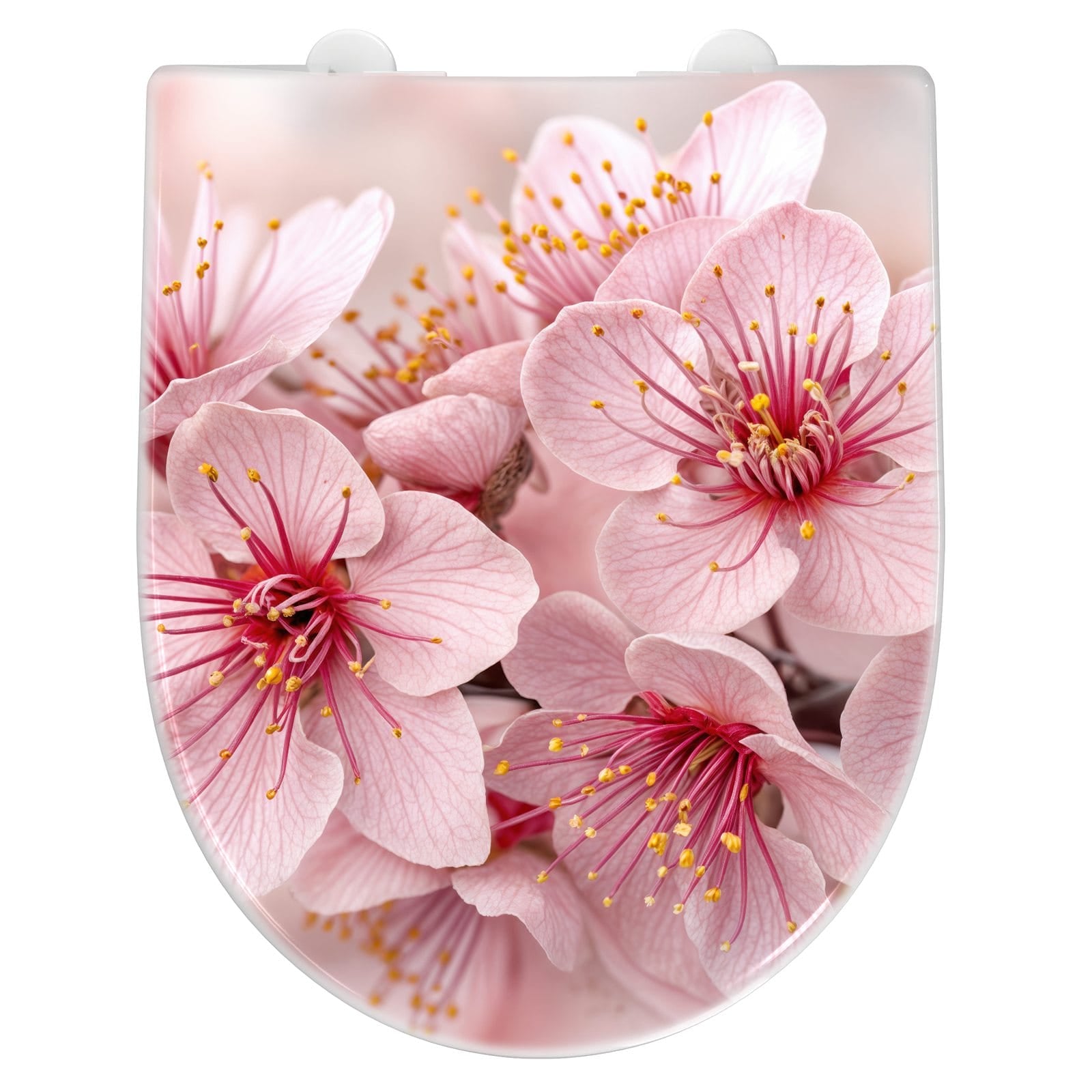 WC-Sitz mit Absenkautomatik Kirschblütenzweig