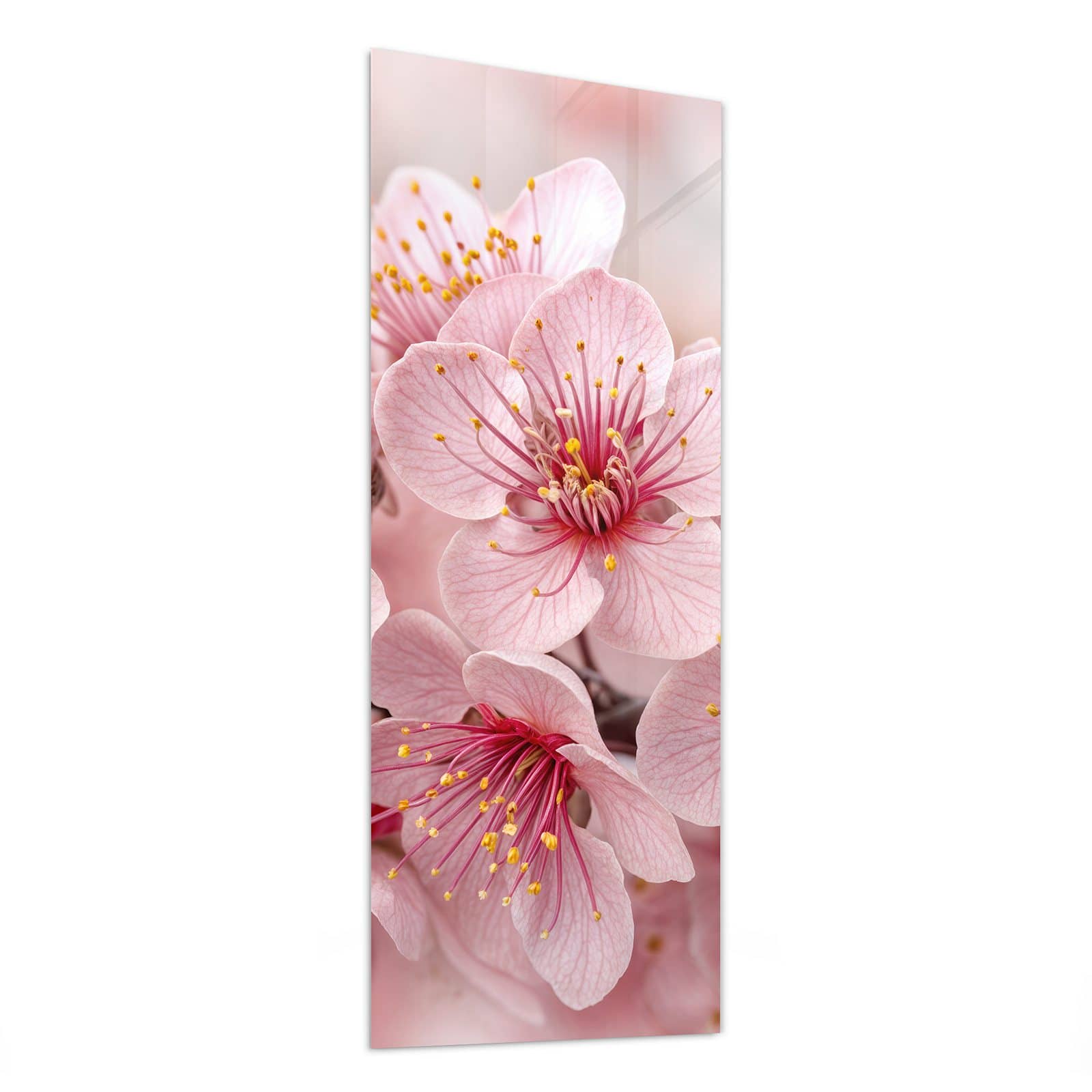 #grösse_50 x 125 cm #grösse_40 x 100 cm #grösse_60 x 150 cm