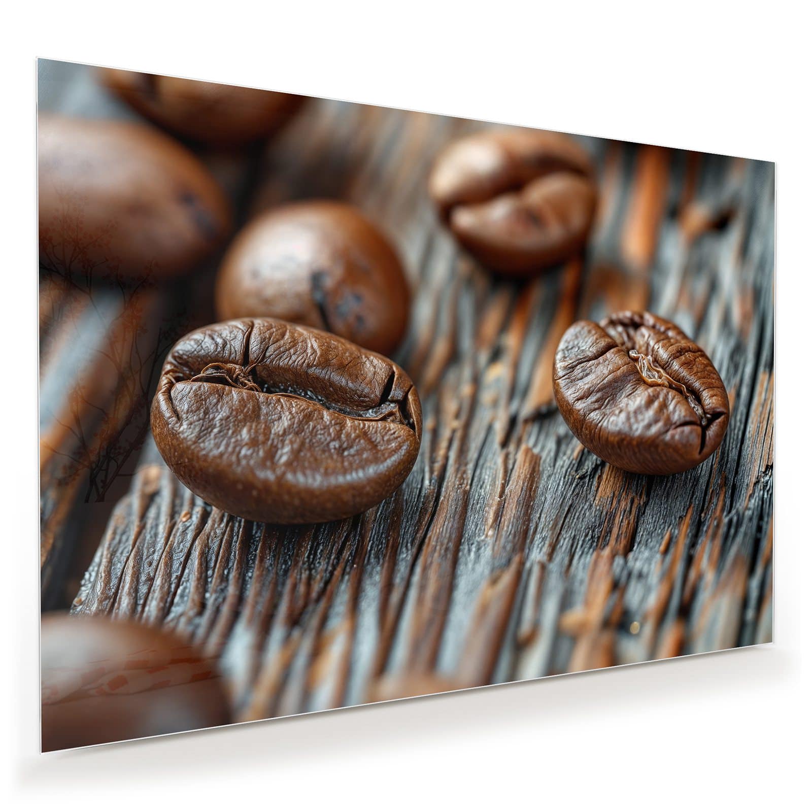 #grösse_100 x 70 cm