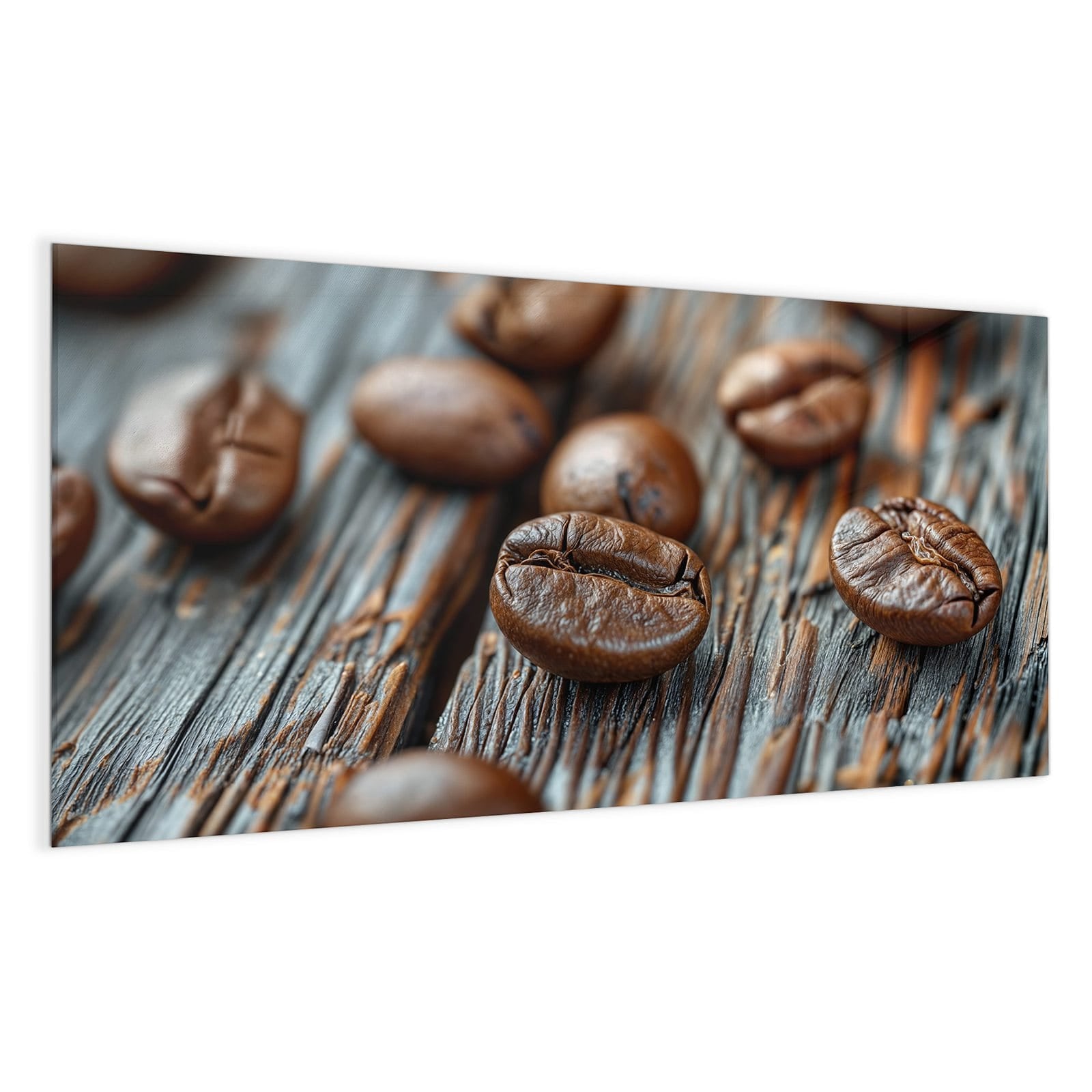 #grösse_100 x 50 cm