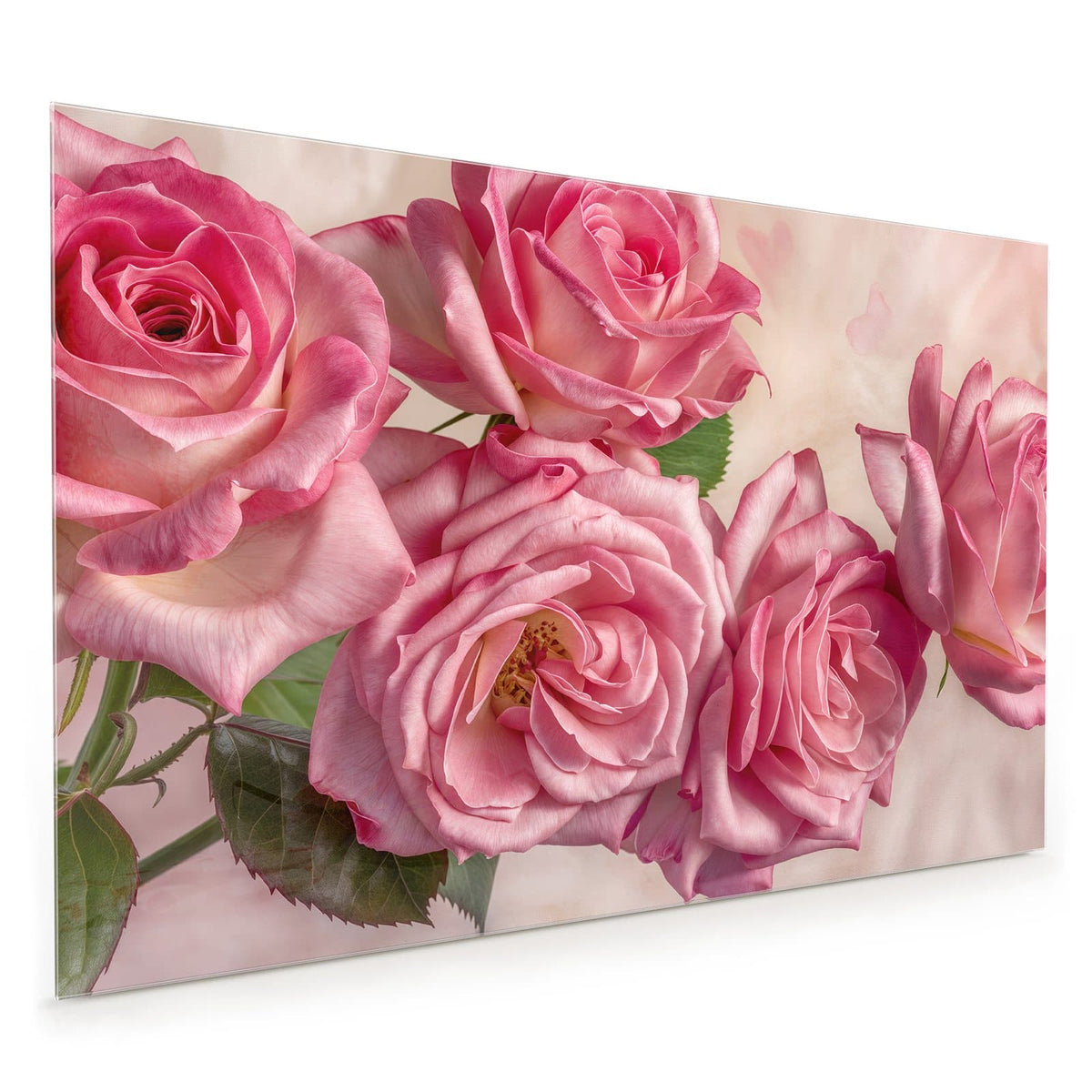 Küchenrückwand aus Glas im Hochformat: Vier weit geöffnete rosa Rosen in Nahaufnahme vor hellem Rosé, im Hintergrund nur schemenhafte Herzformen.