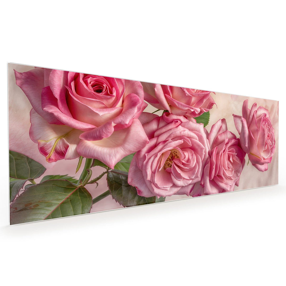 Küchenrückwand aus Glas im Hochformat: Vier weit geöffnete rosa Rosen in Nahaufnahme vor hellem Rosé, im Hintergrund nur schemenhafte Herzformen.