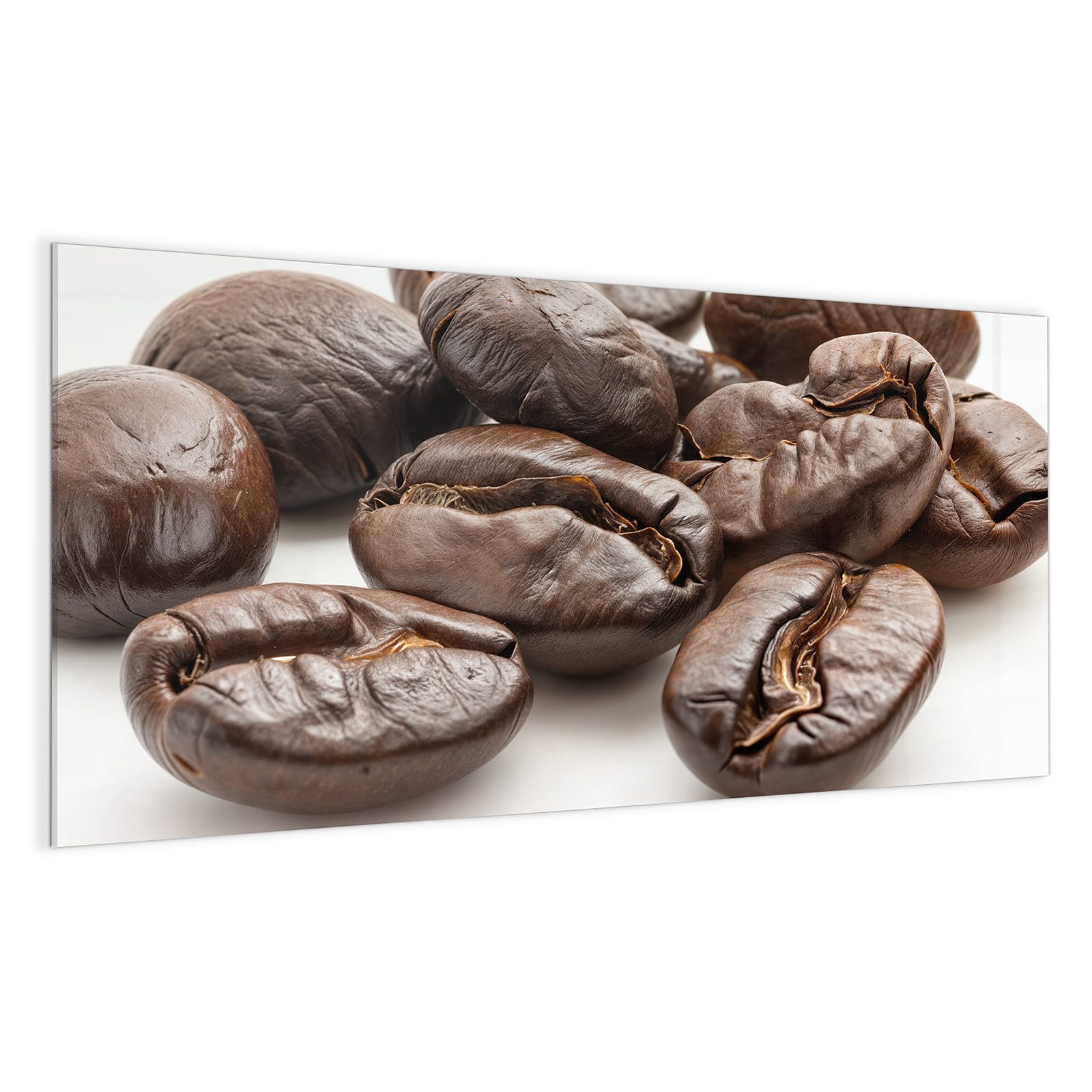 #grösse_100 x 50 cm