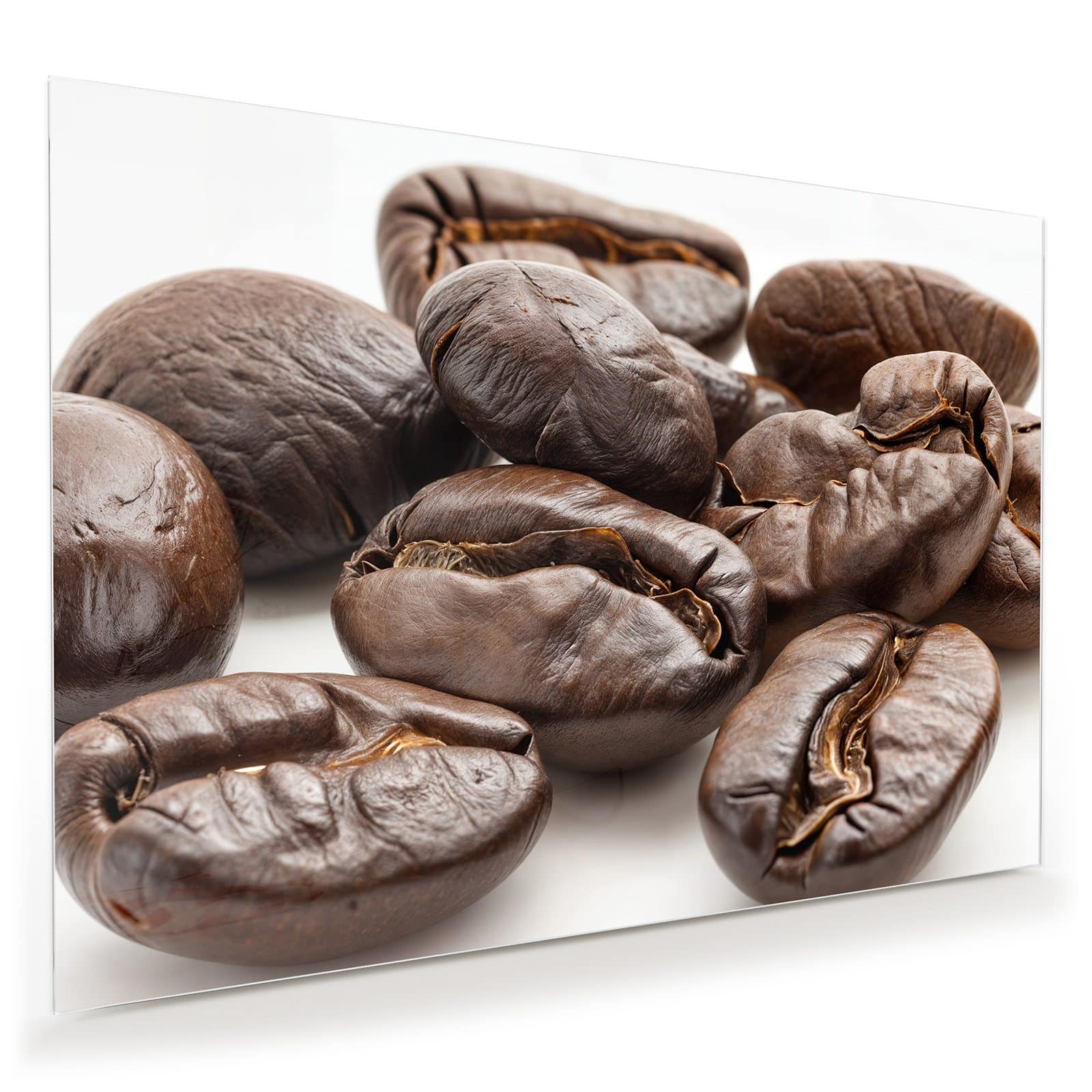 #grösse_100 x 70 cm