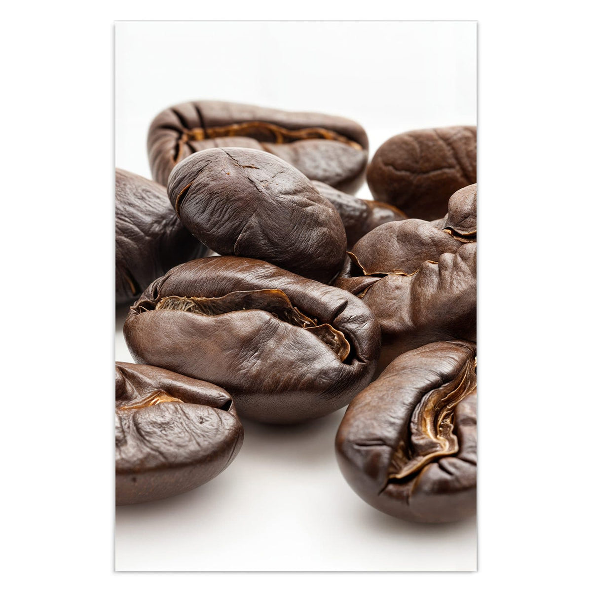 Makroaufnahme weniger dunkel gerösteter Kaffeebohnen vor weißem Grund