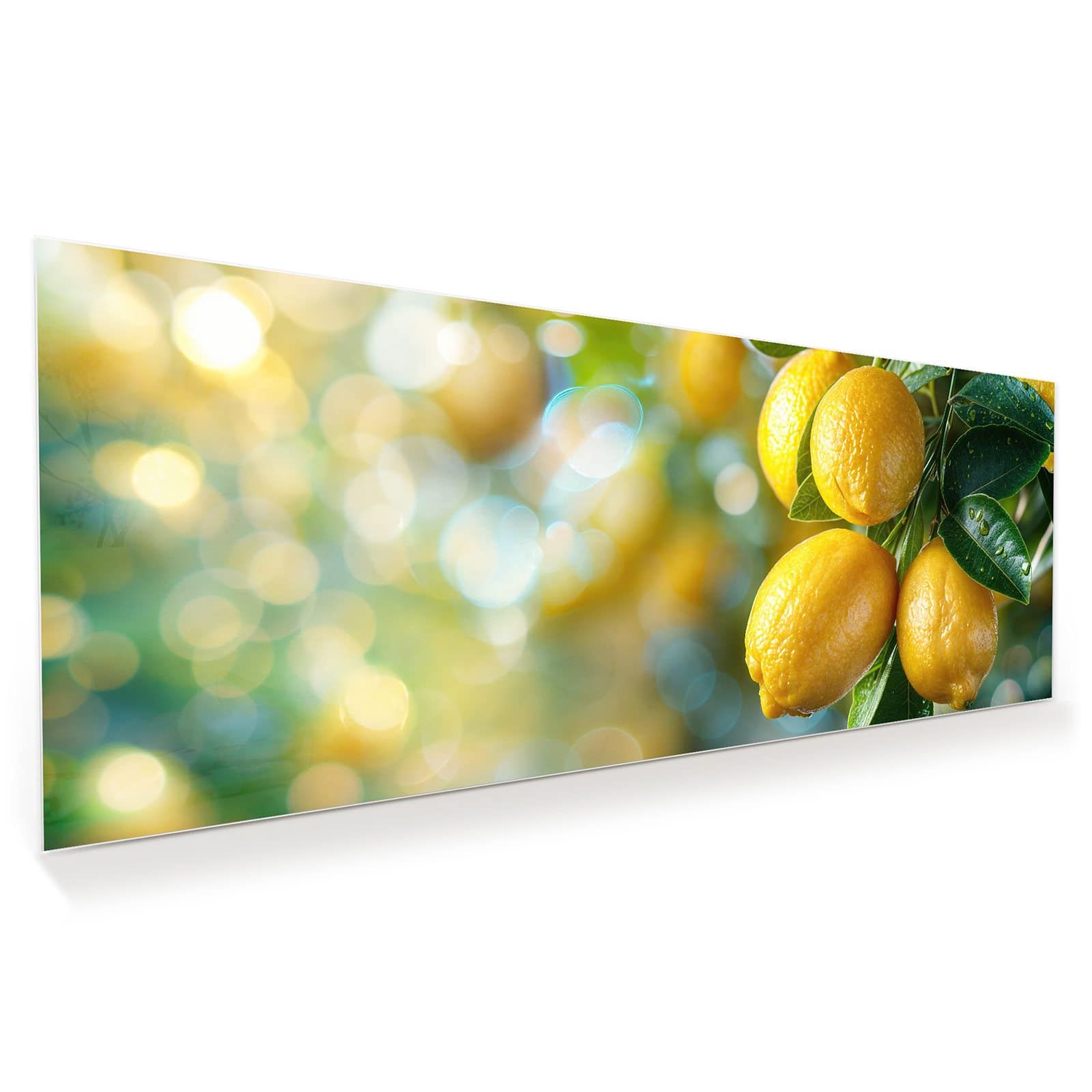 #grösse_100 x 40 cm #grösse_125 x 50 cm #grösse_150 x 60 cm