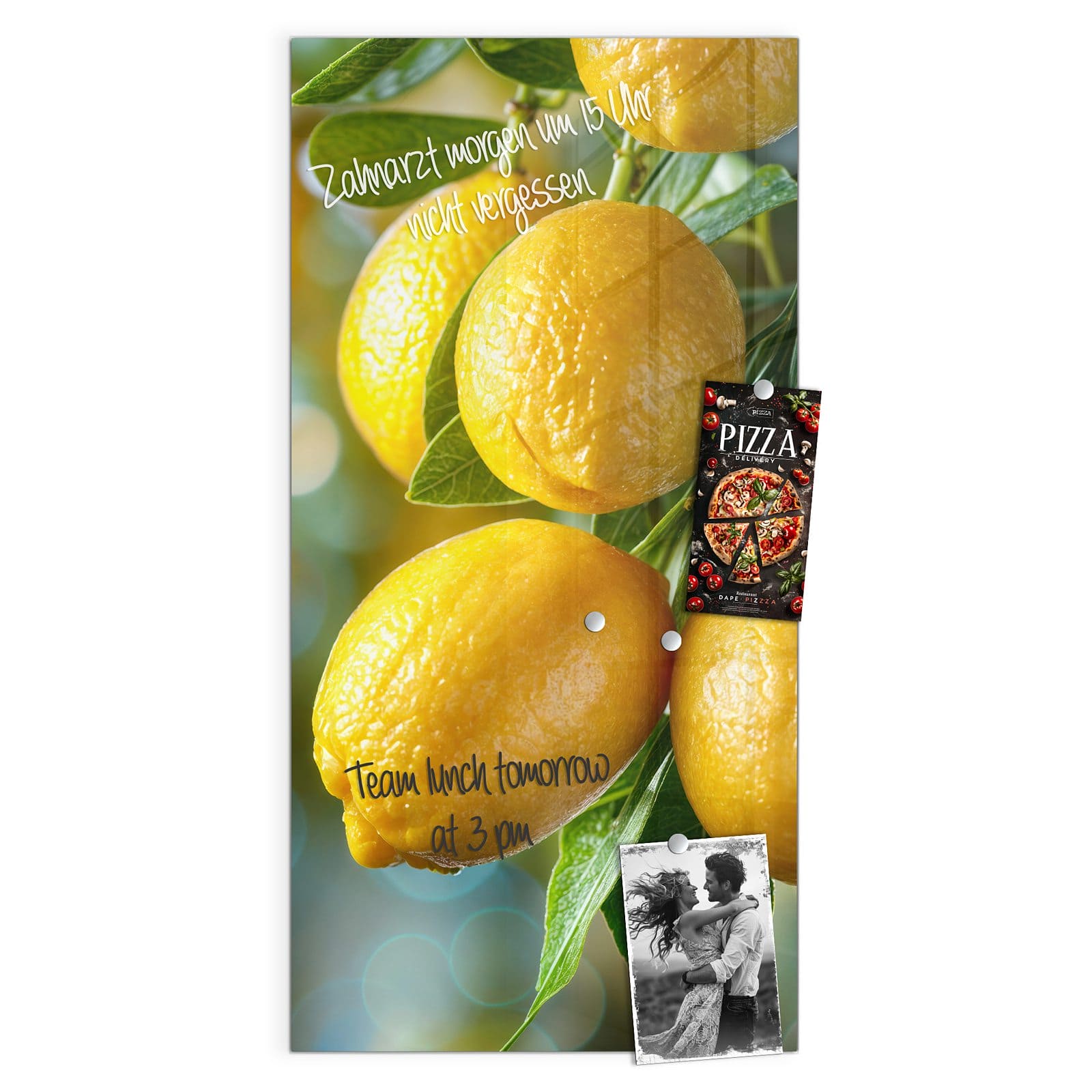 #grösse_50 x 100 cm