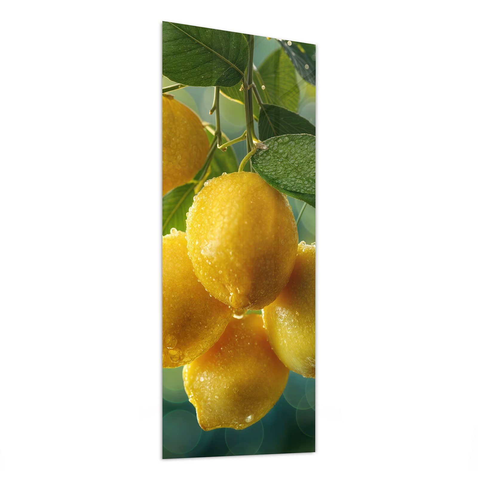 #grösse_50 x 125 cm #grösse_40 x 100 cm #grösse_60 x 150 cm