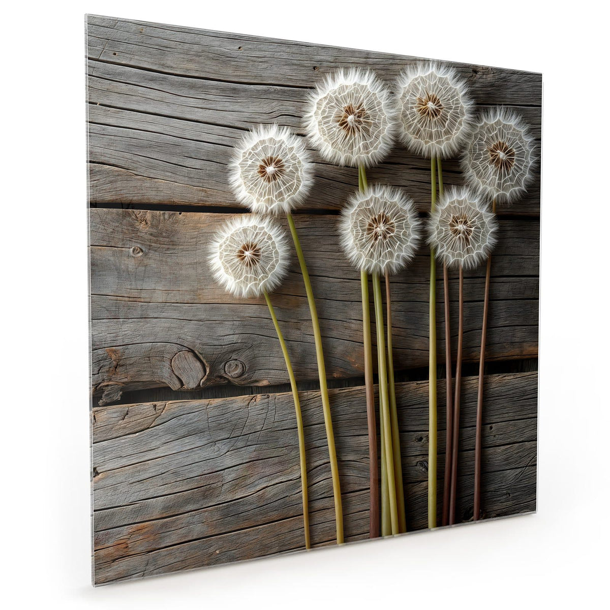 #grösse_40 x 40 cm #grösse_50 x 50 cm #grösse_60 x 60 cm
