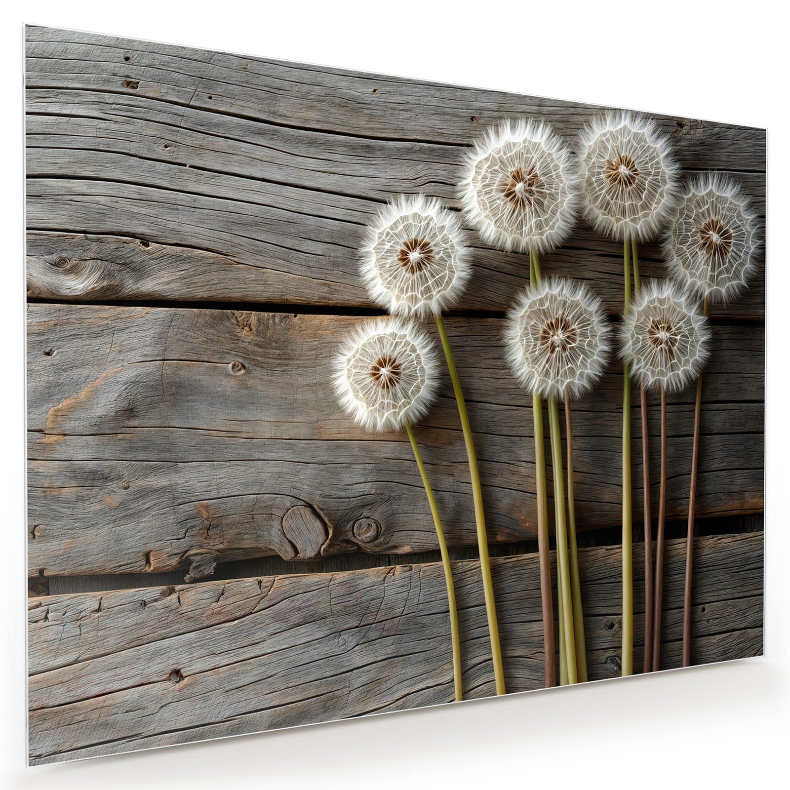 #grösse_80 x 60 cm #grösse_100 x 75 cm #grösse_120 x 90 cm