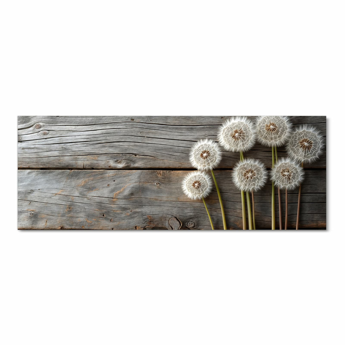Langlebiger Läufer für Eingangsbereich mit Motiv Pusteblumen Holzoptik in Frontansicht