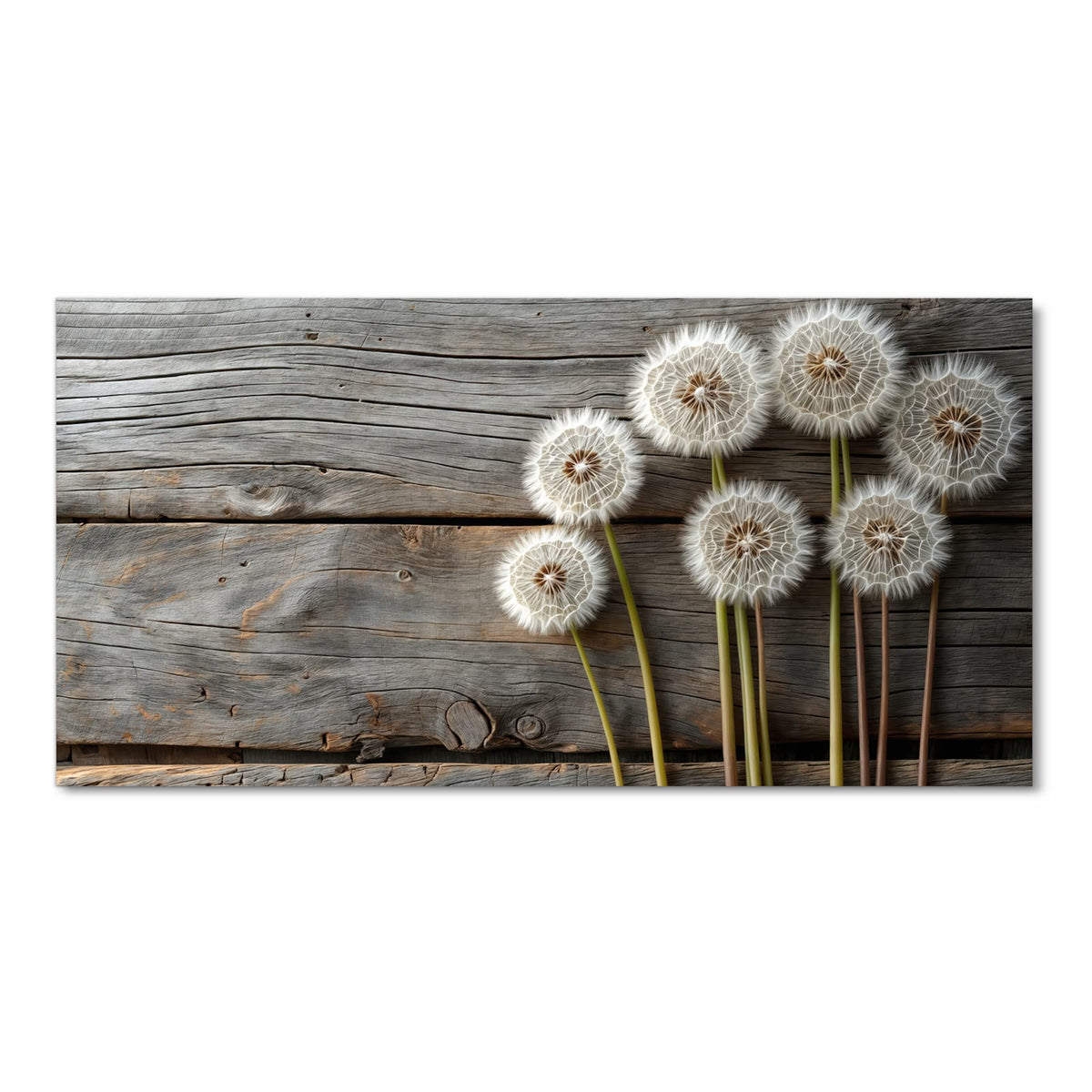 Langlebiger Küchenläufer mit Motiv Pusteblumen Holzoptik in Frontansicht