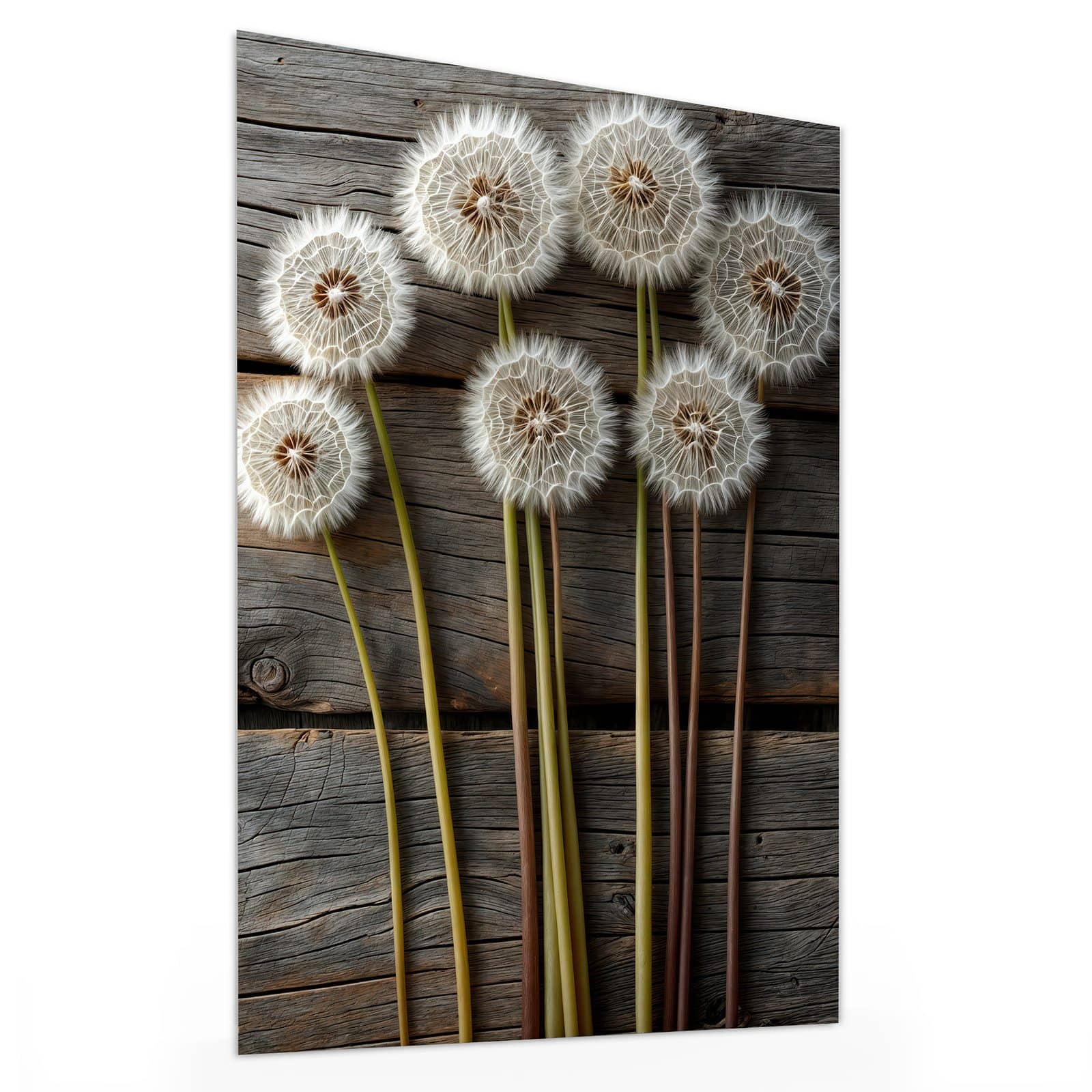 #grösse_30 x 40 cm #grösse_60 x 80 cm #grösse_75 x 100 cm