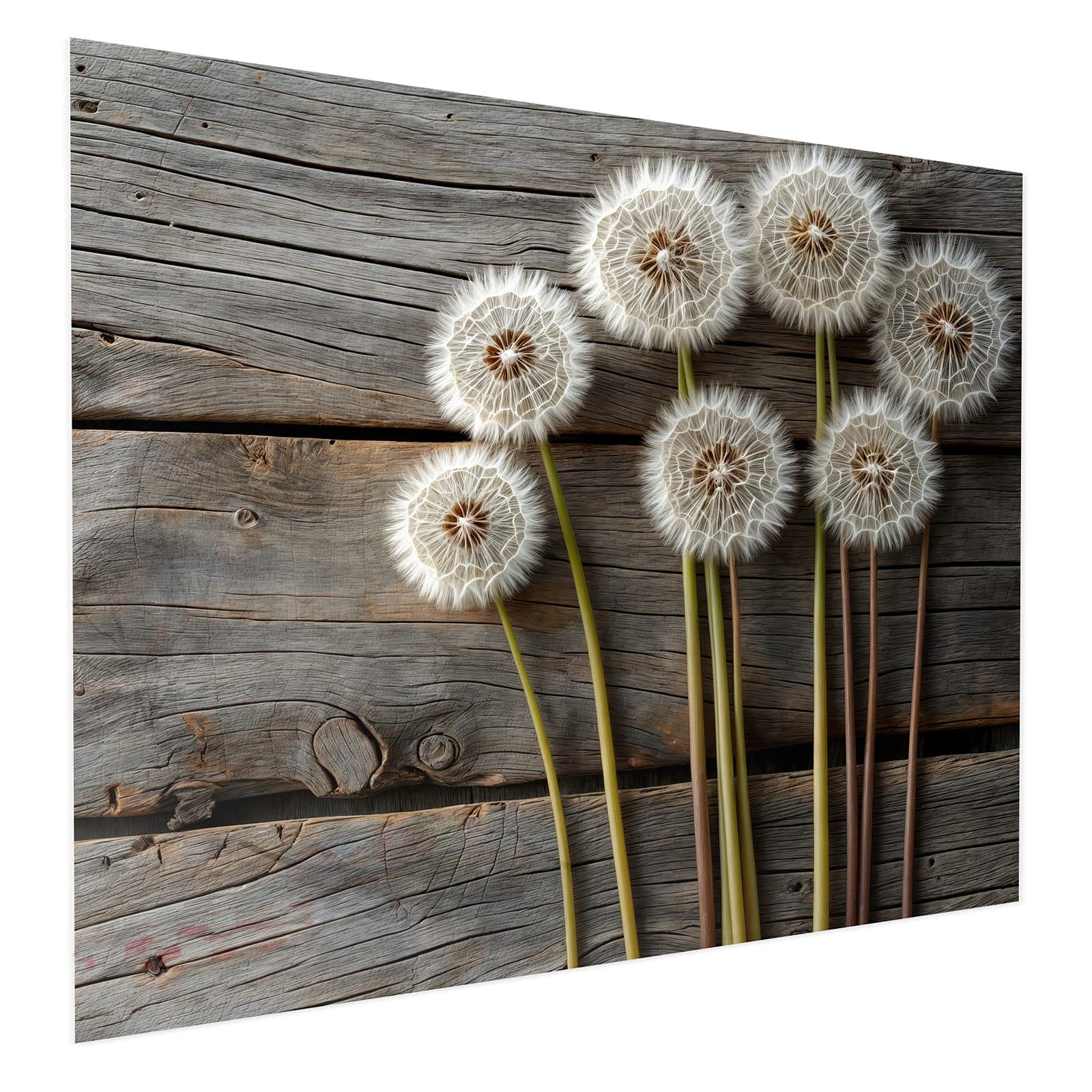 #grösse_75 x 60 cm #grösse_100 x 80 cm