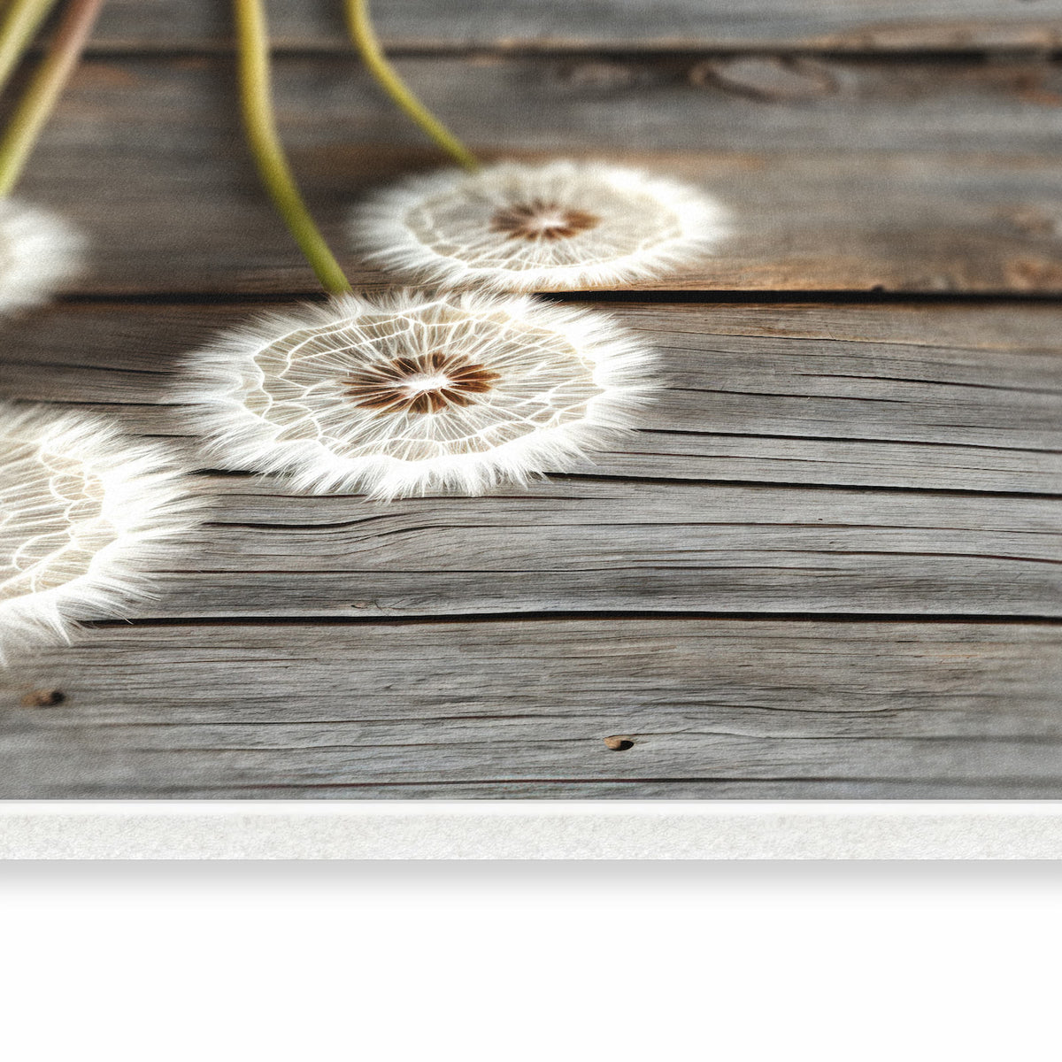 Waschbarer rutschfester Küchenteppich mit Motiv Pusteblumen Holzoptik in seitlicher Ansicht