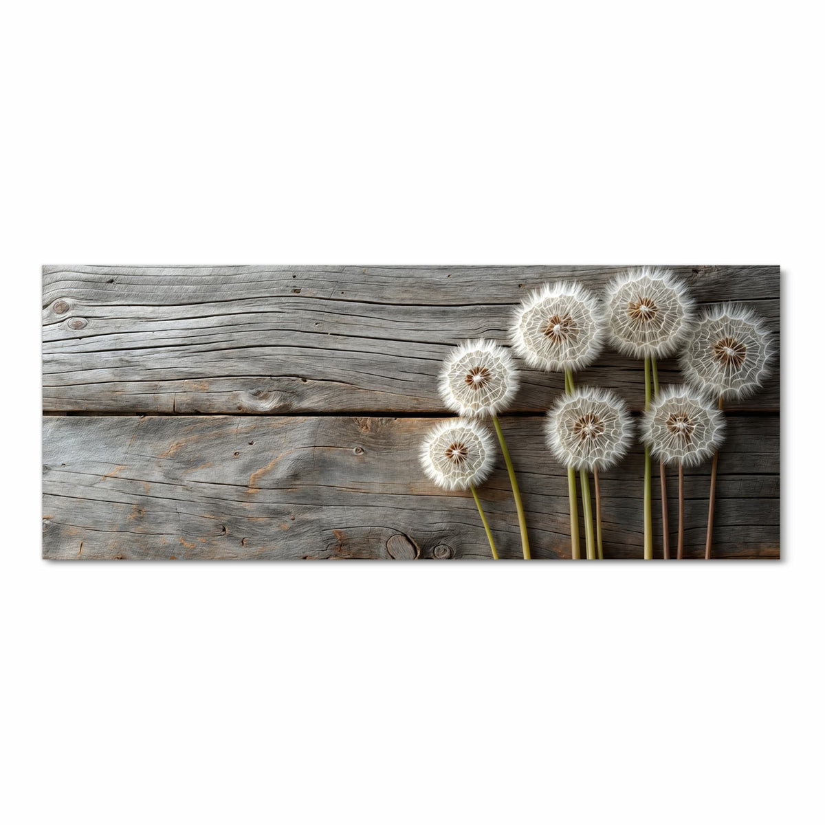 Flacher Küchenteppich mit Motiv Pusteblumen Holzoptik in Frontansicht