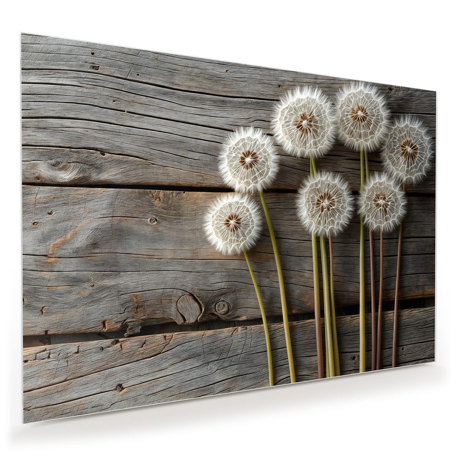 #grösse_100 x 70 cm