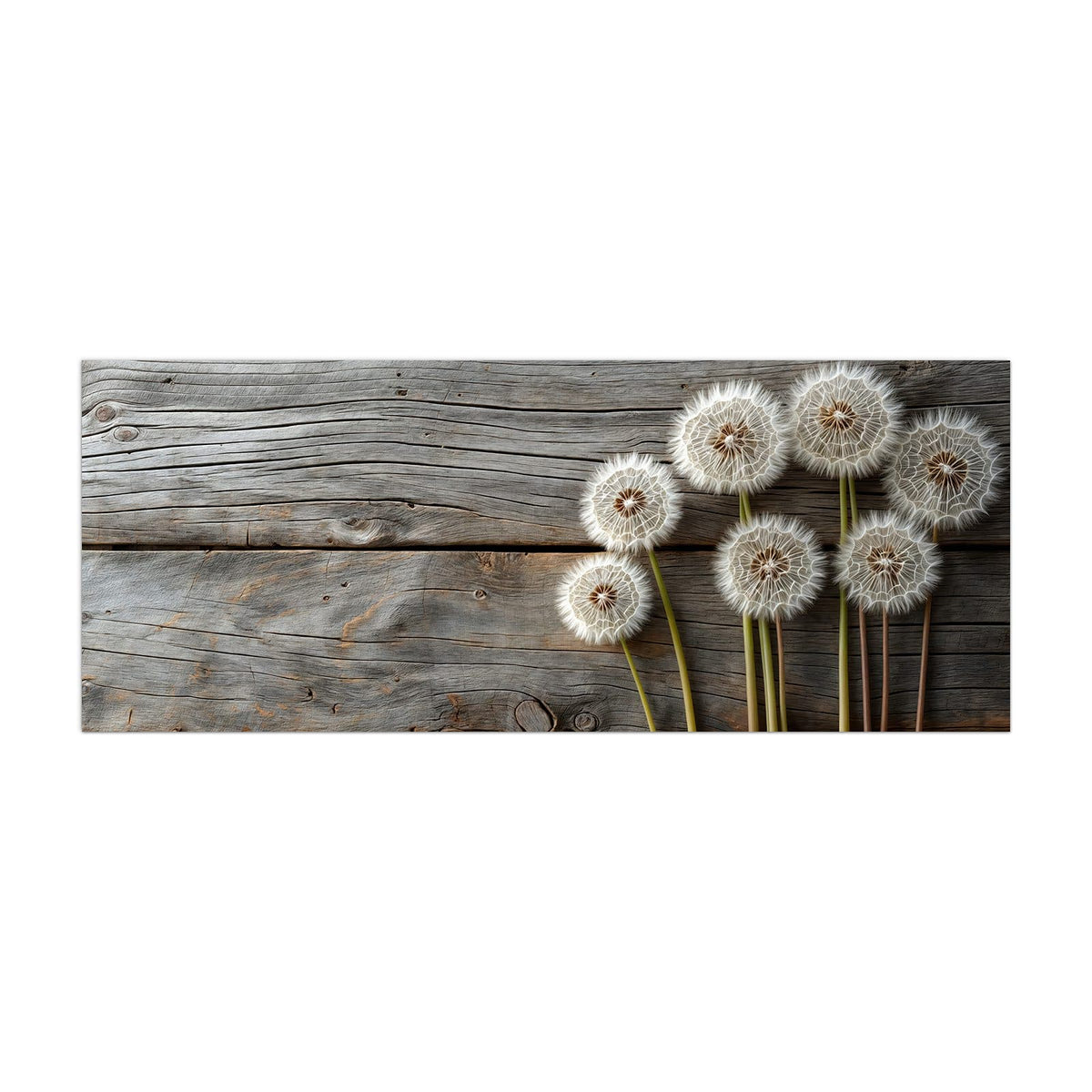 Küchenrückwand aus Glas Pusteblumen auf Holz im Hochformat, Motiv bildfüllend von vorn