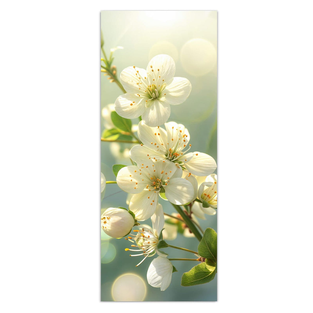 Wandbild - Weiße Blüten vor Grün - Hochformat – Weiße Blüten vor mintgrünem Bokeh