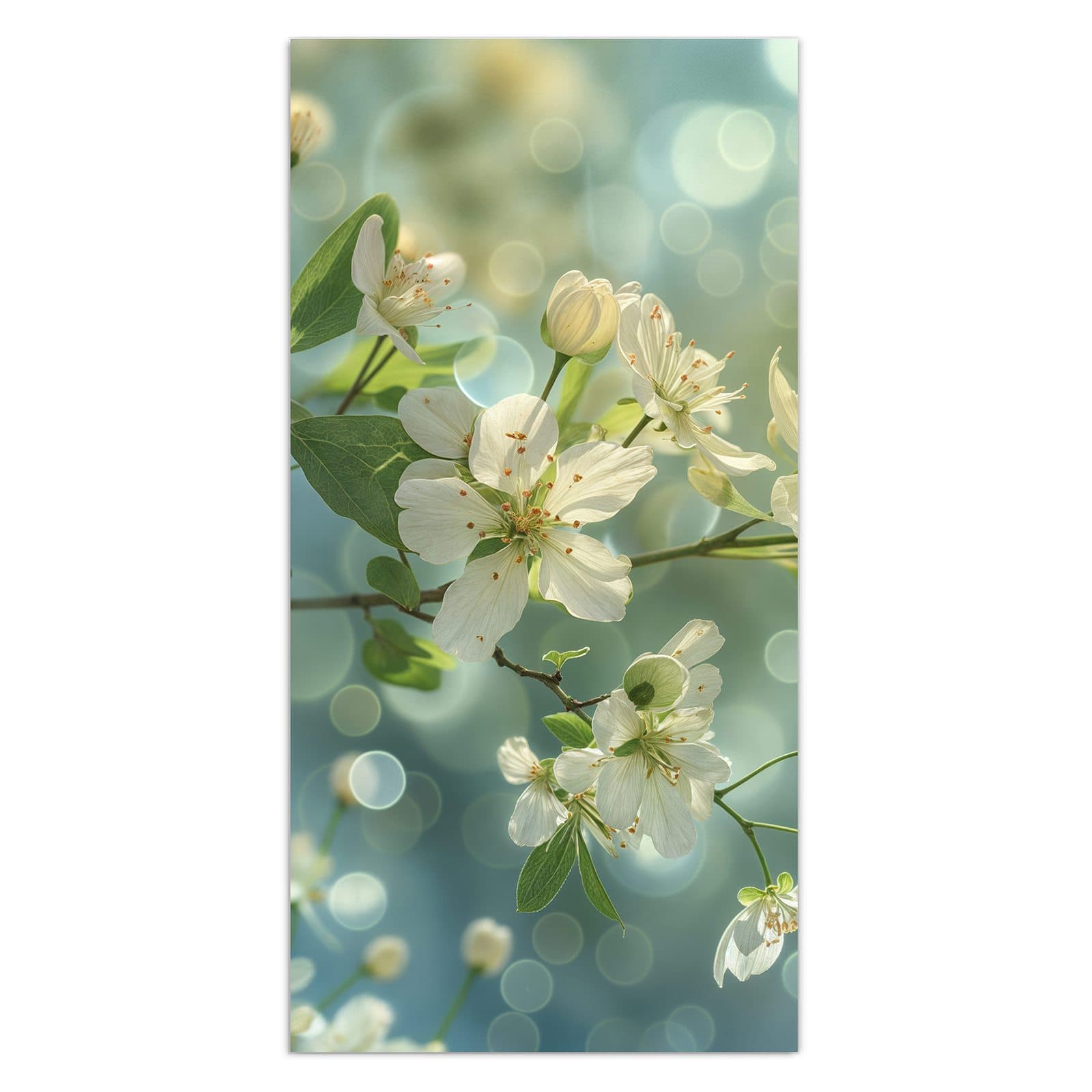 #grösse_30 x 60 cm #grösse_40 x 80 cm #grösse_50 x 100 cm #grösse_55 x 110 cm #grösse_60 x 120 cm