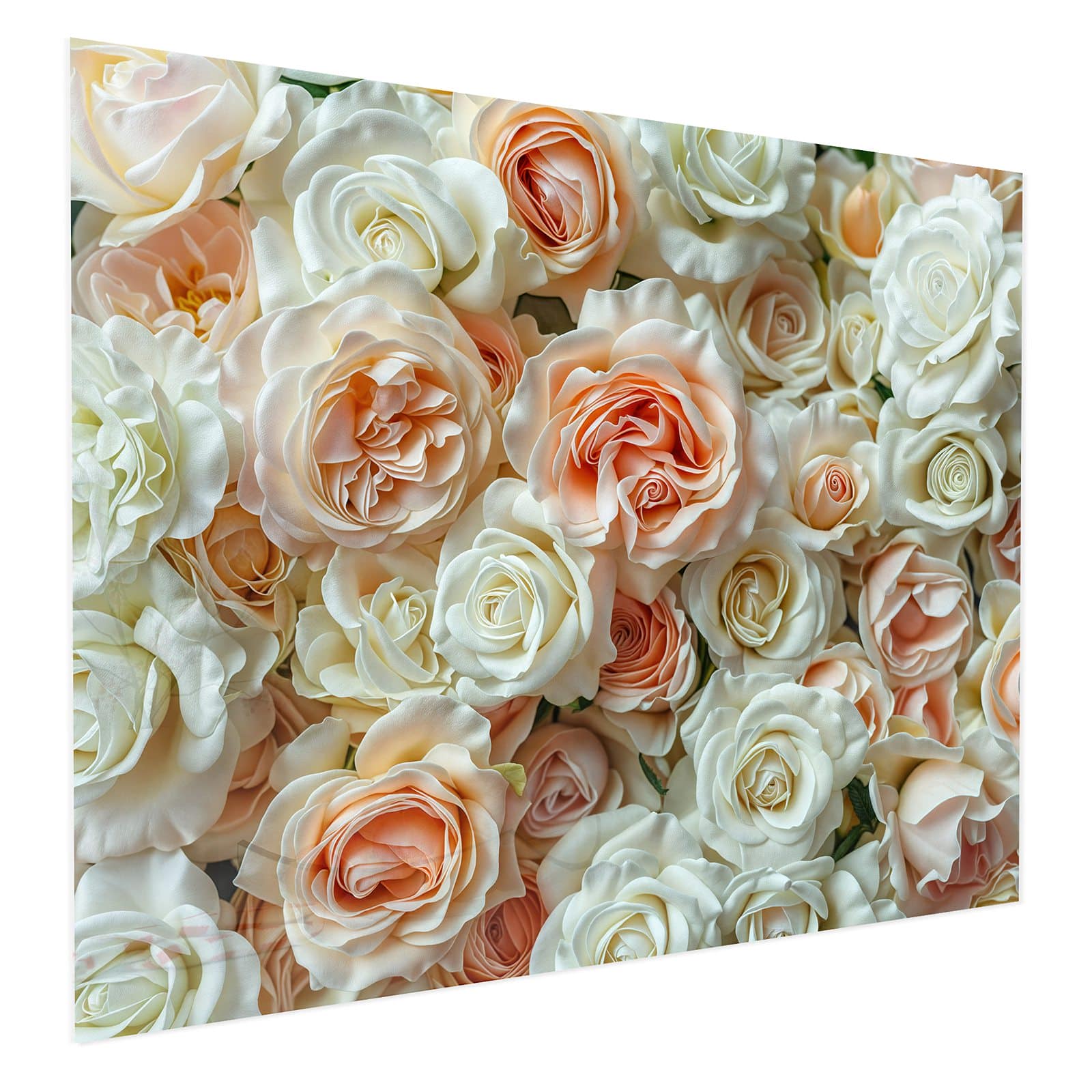 #grösse_75 x 60 cm #grösse_100 x 80 cm