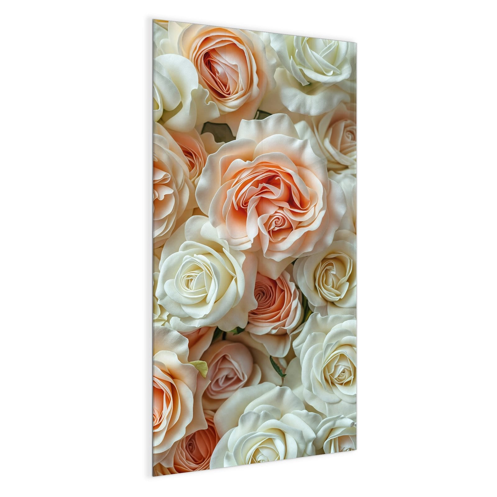 #grösse_50 x 100 cm