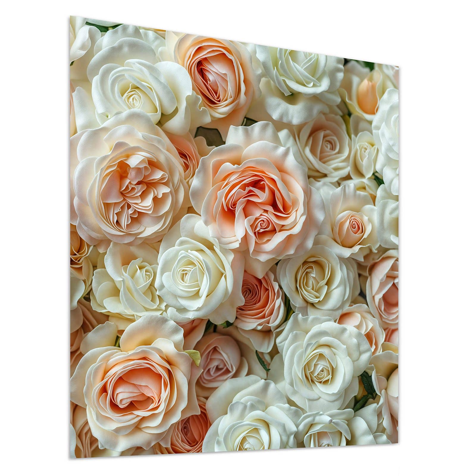 #grösse_90 x 100 cm