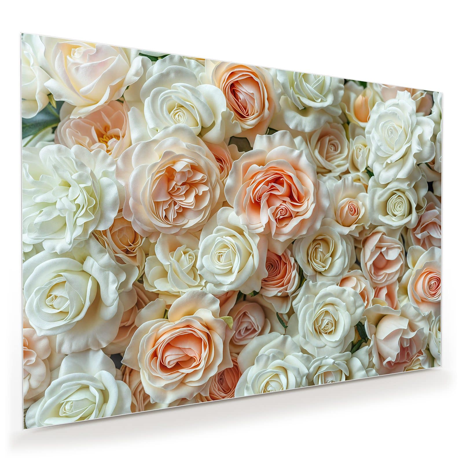 #grösse_100 x 70 cm