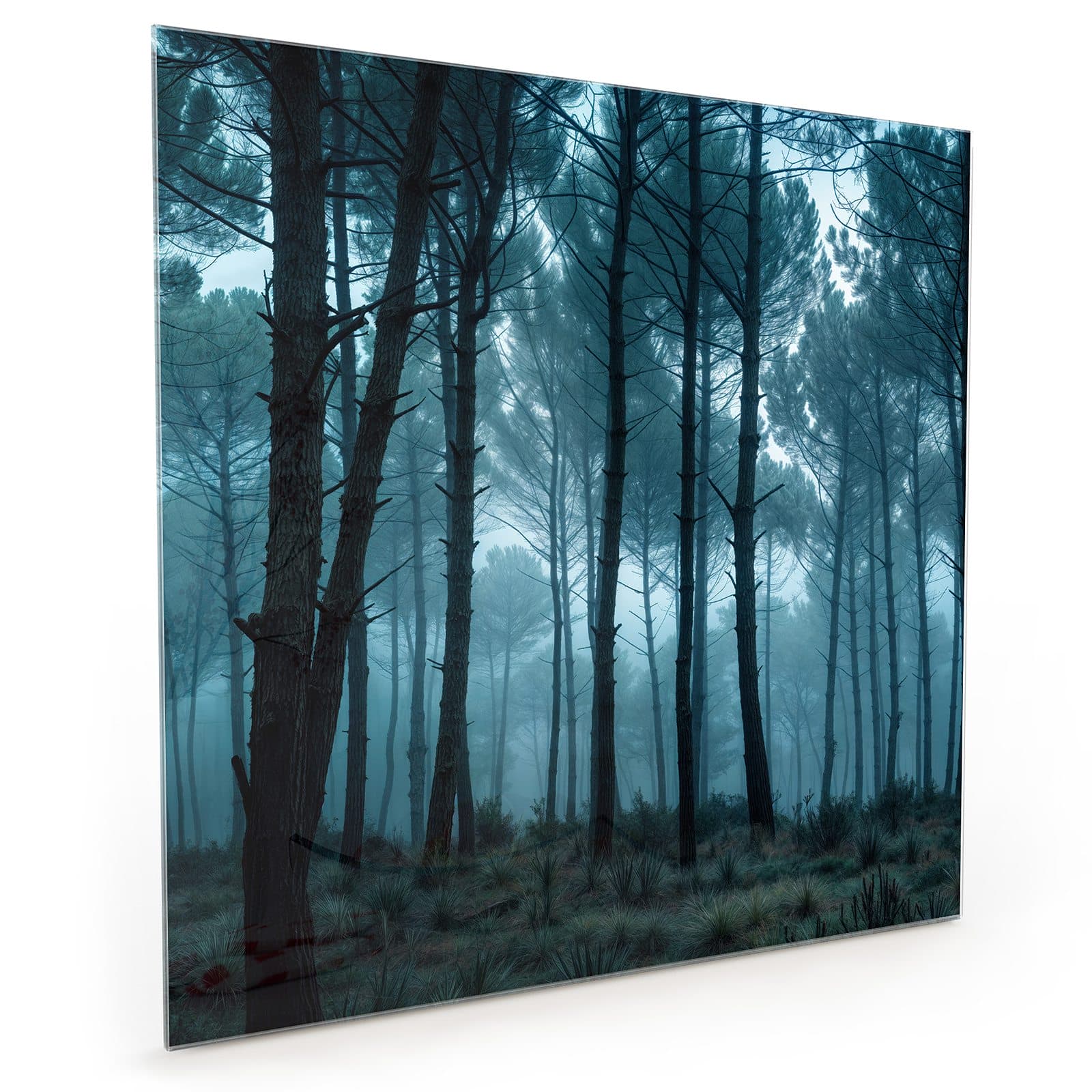 #70 x 70 cm_