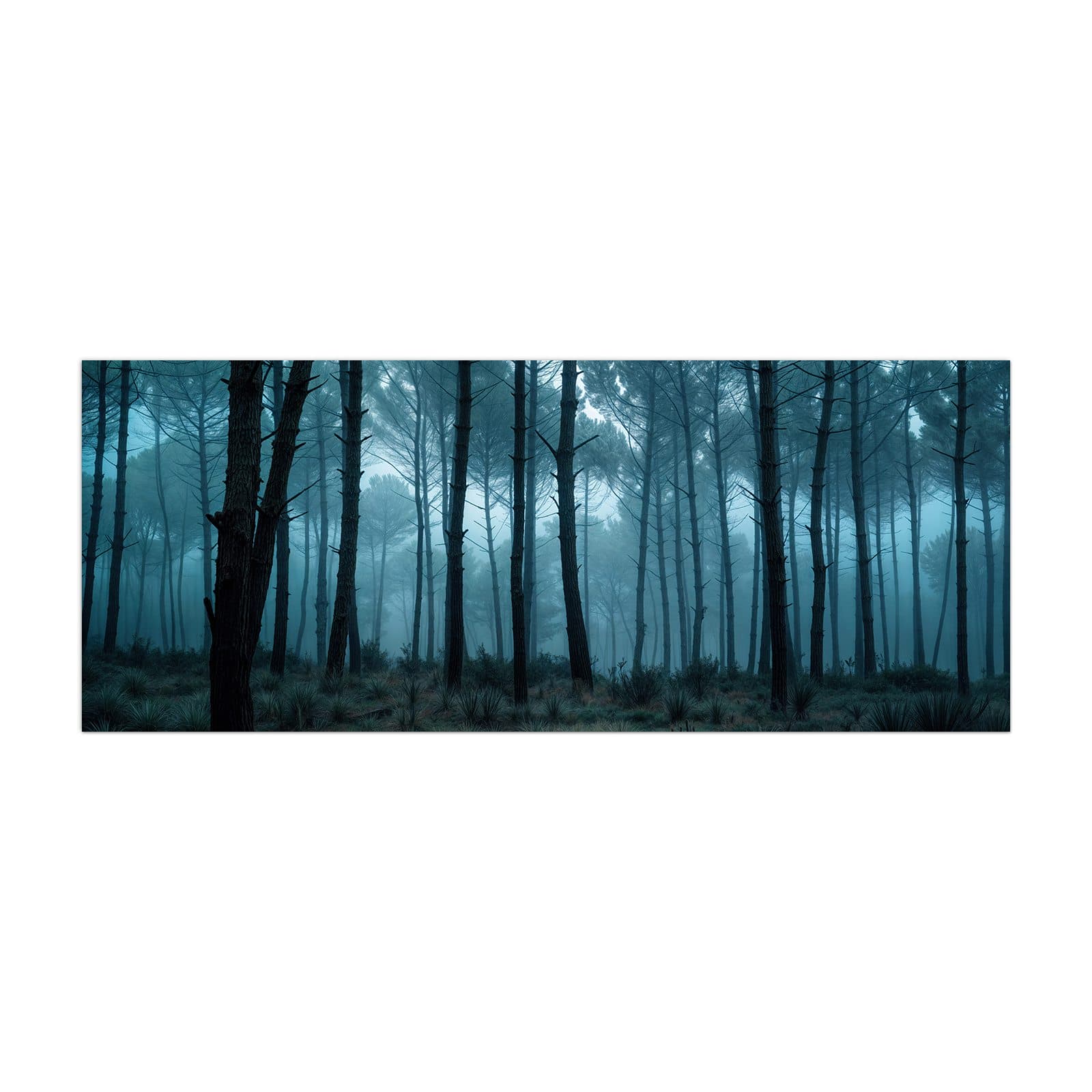 #grösse_40 x 100 cm #grösse_50 x 125 cm #grösse_60 x 150 cm