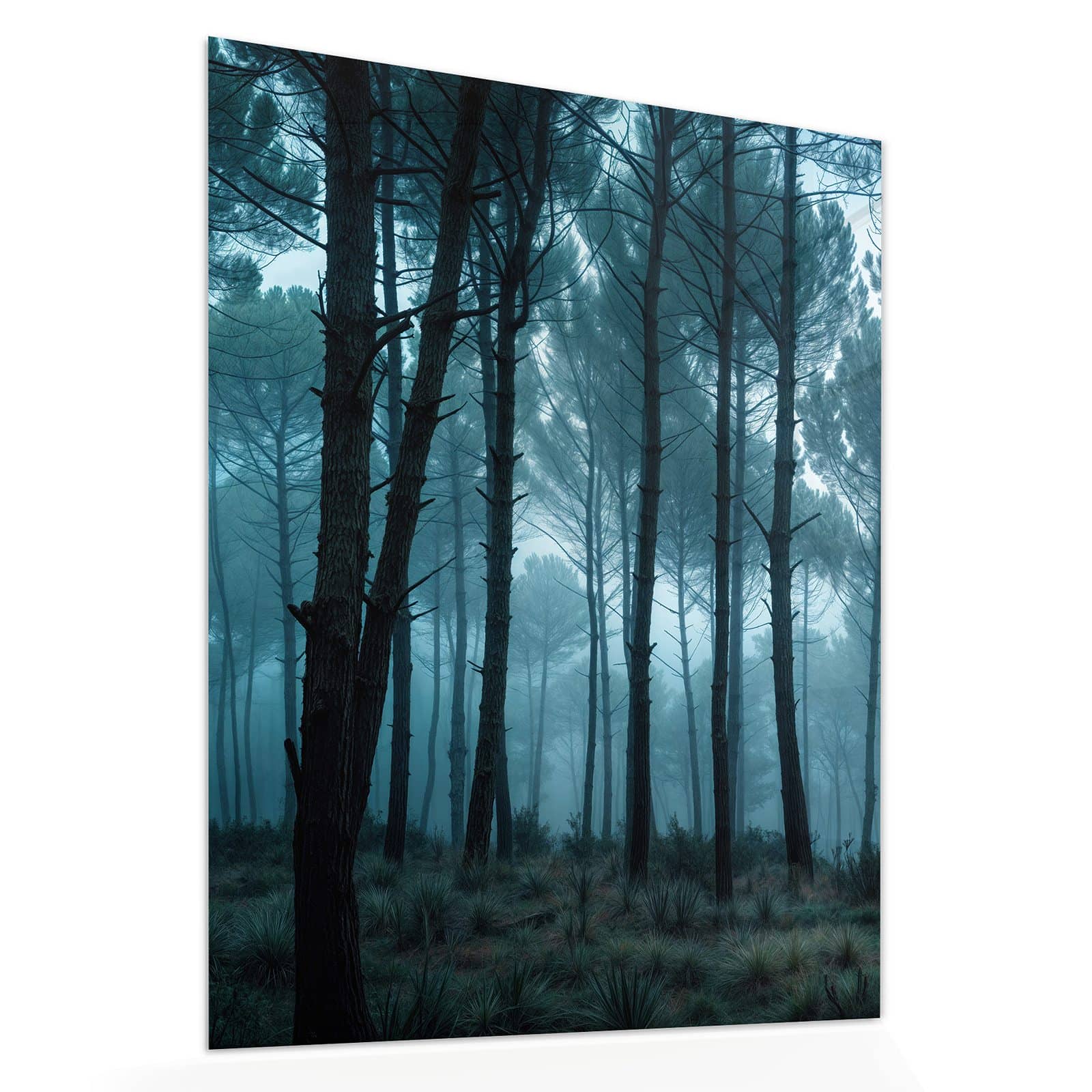 #grösse_60 x 75 cm #grösse_80 x 100 cm