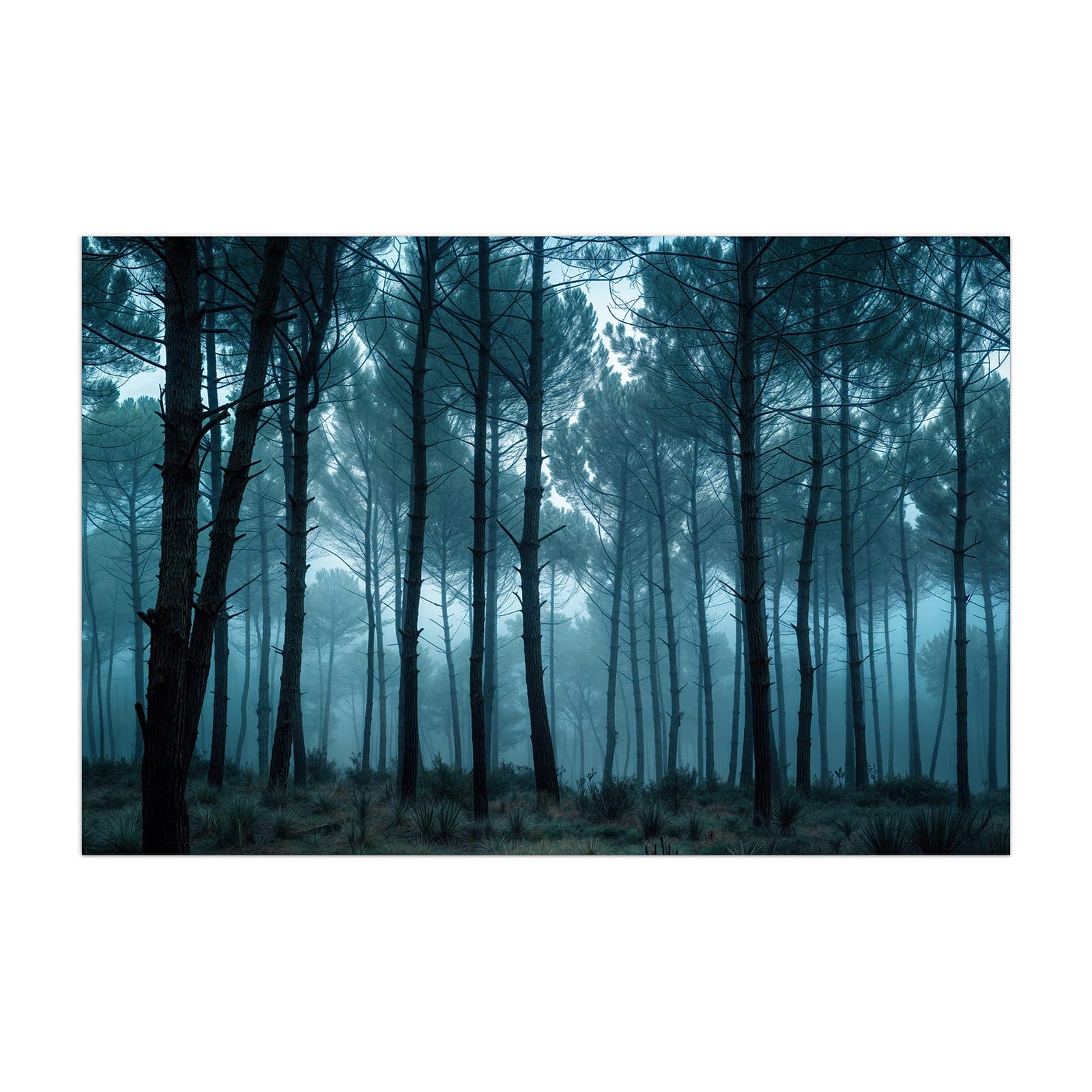 #grösse_40 x 60 cm #grösse_50 x 75 cm #grösse_60 x 90 cm #grösse_80 x 120 cm