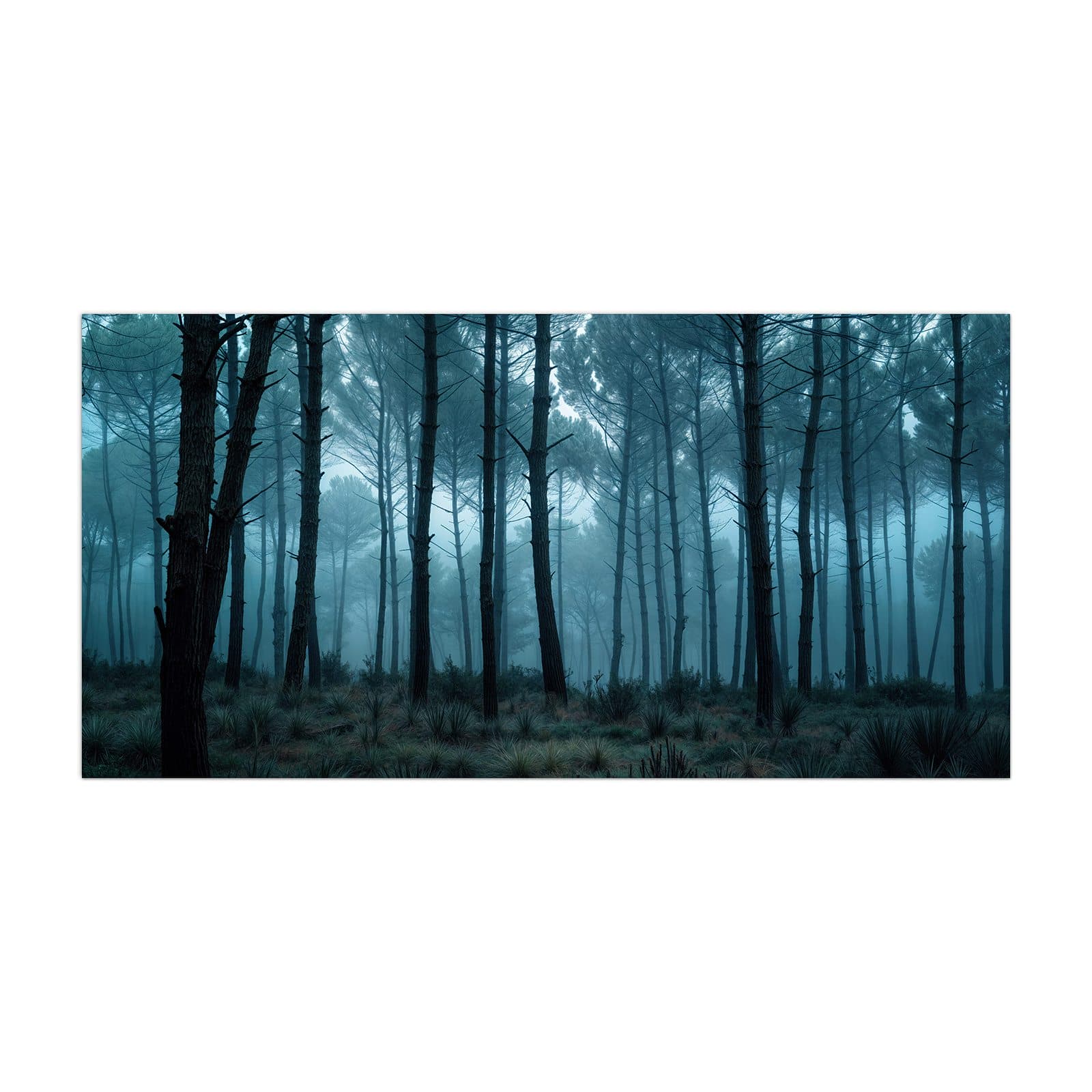 #grösse_40 x 80 cm #grösse_50 x 100 cm #grösse_55 x 110 cm #grösse_60 x 120 cm