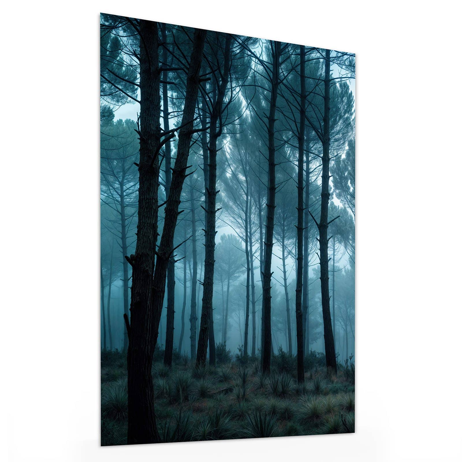 #grösse_30 x 40 cm #grösse_60 x 80 cm #grösse_75 x 100 cm