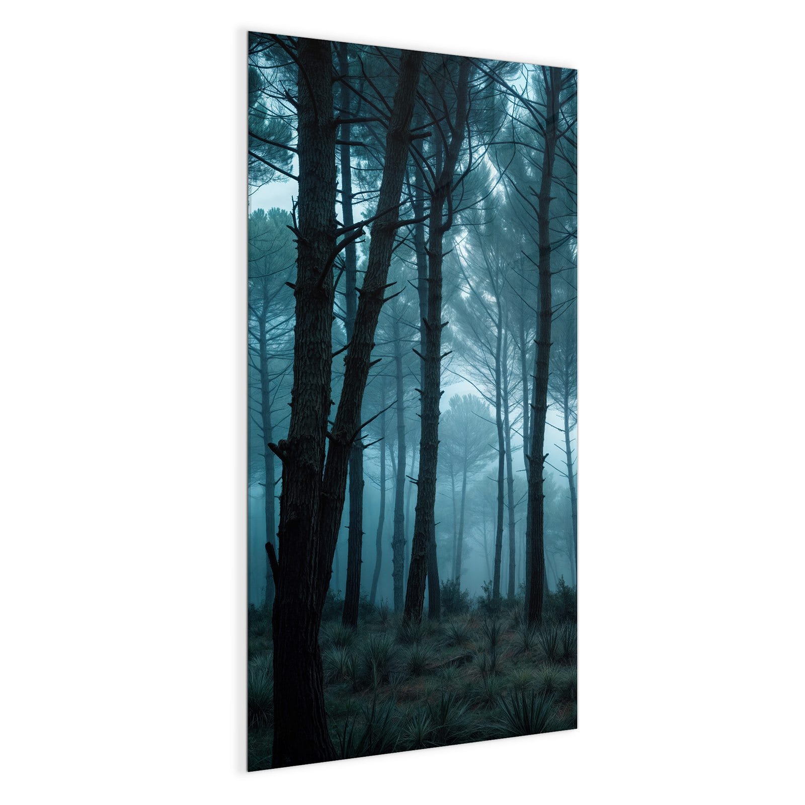 #grösse_50 x 100 cm