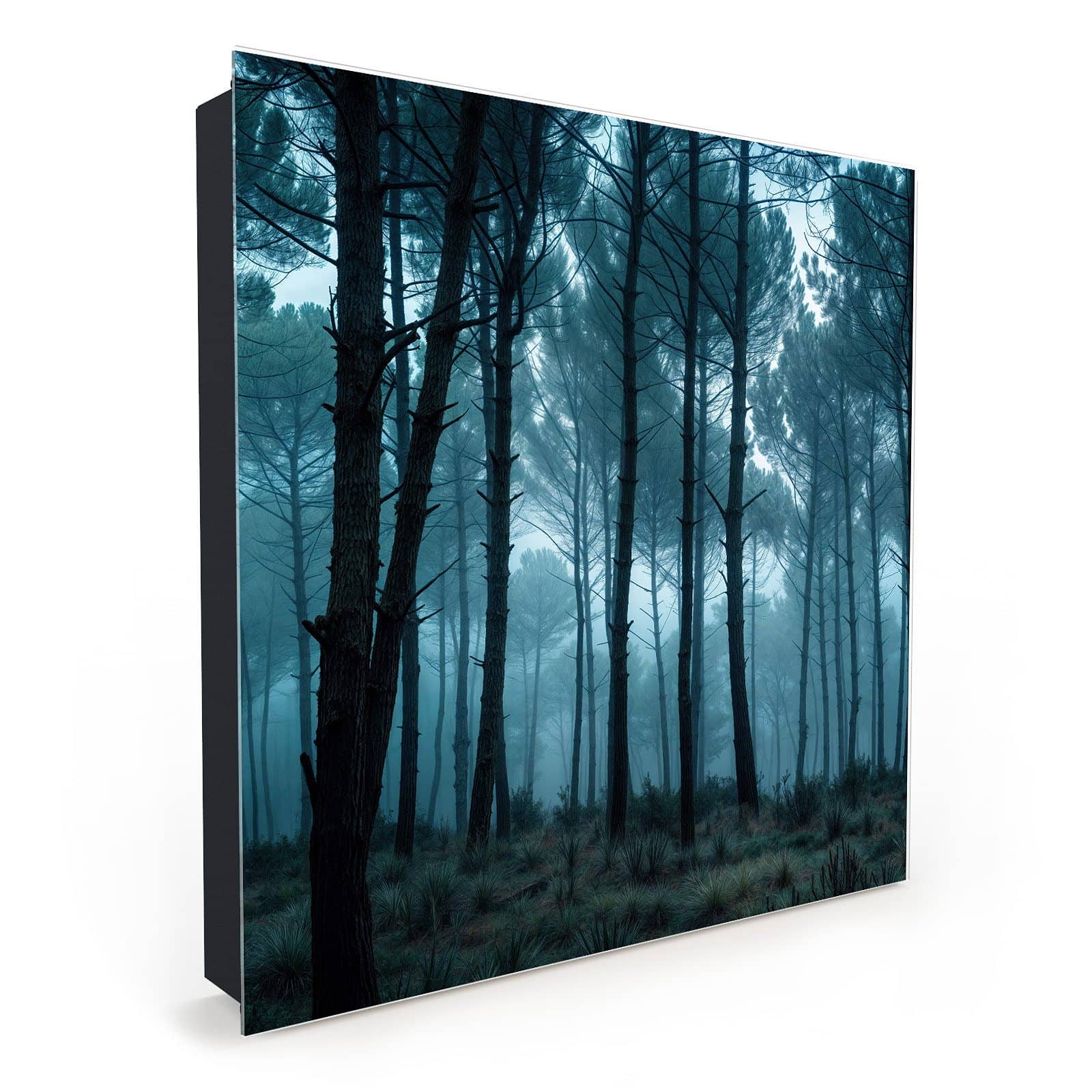 #türöffnung_rechts