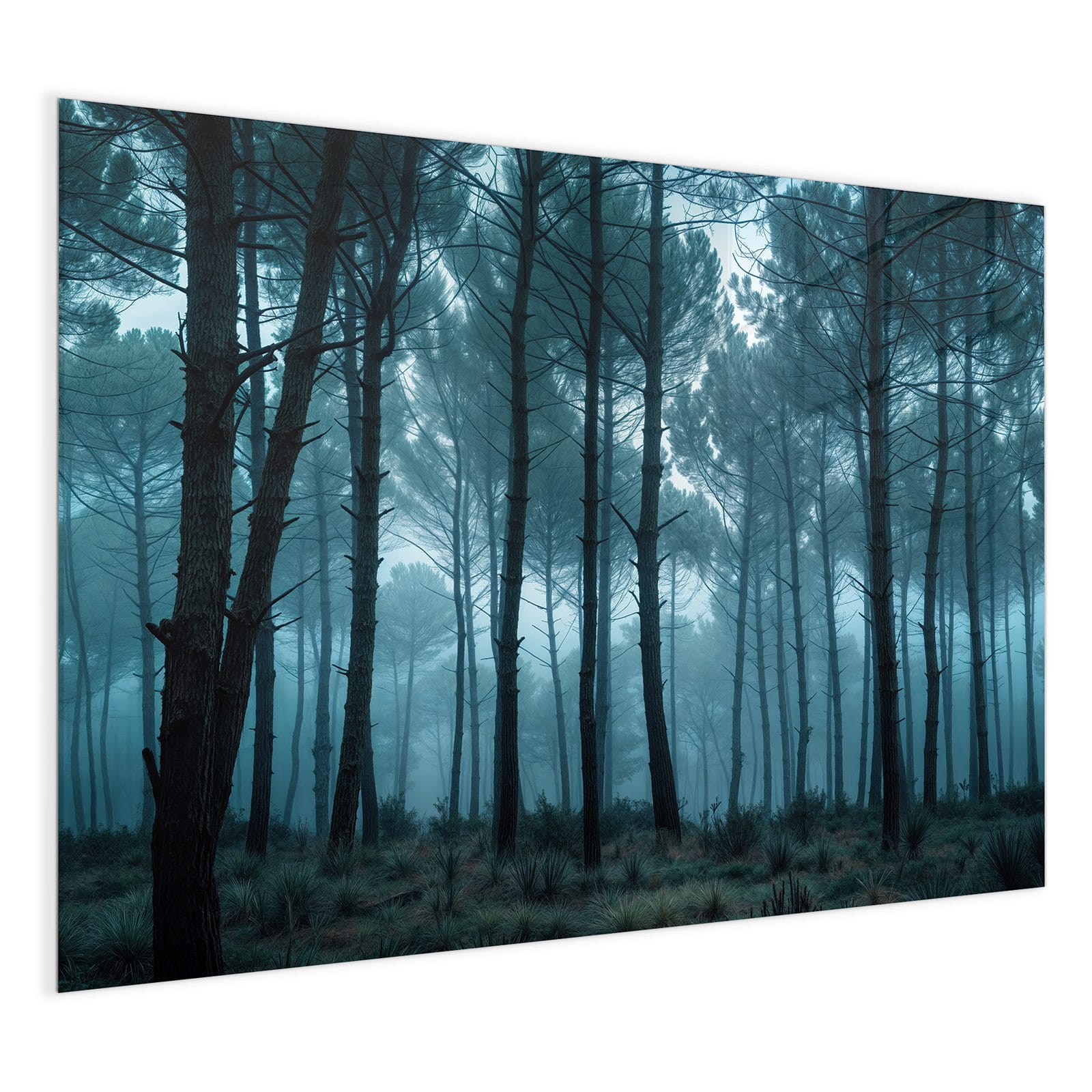 #grösse_120 x 90 cm