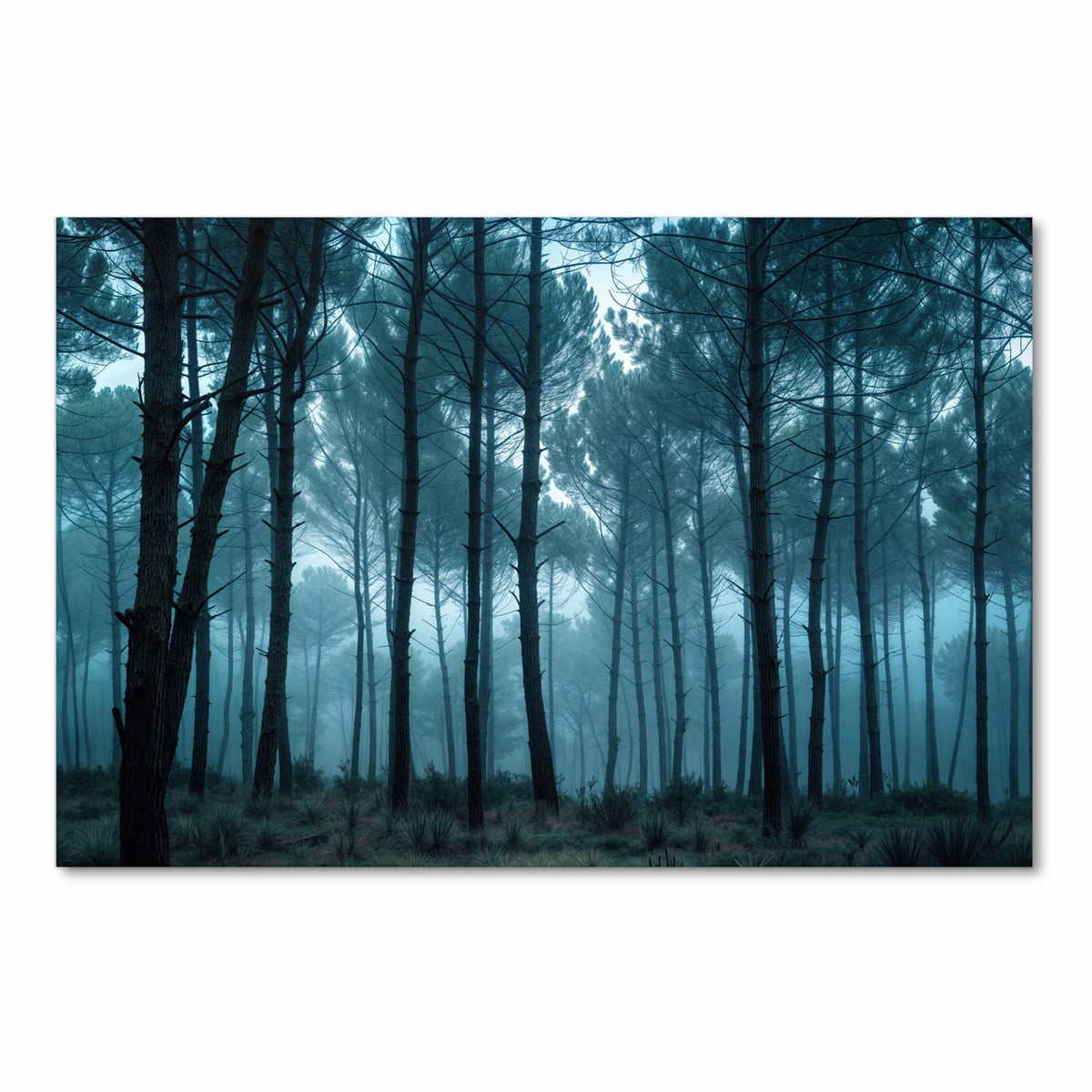 Pflegeleichter Küchenläufer mit Motiv Nebeliger Wald in Frontansicht