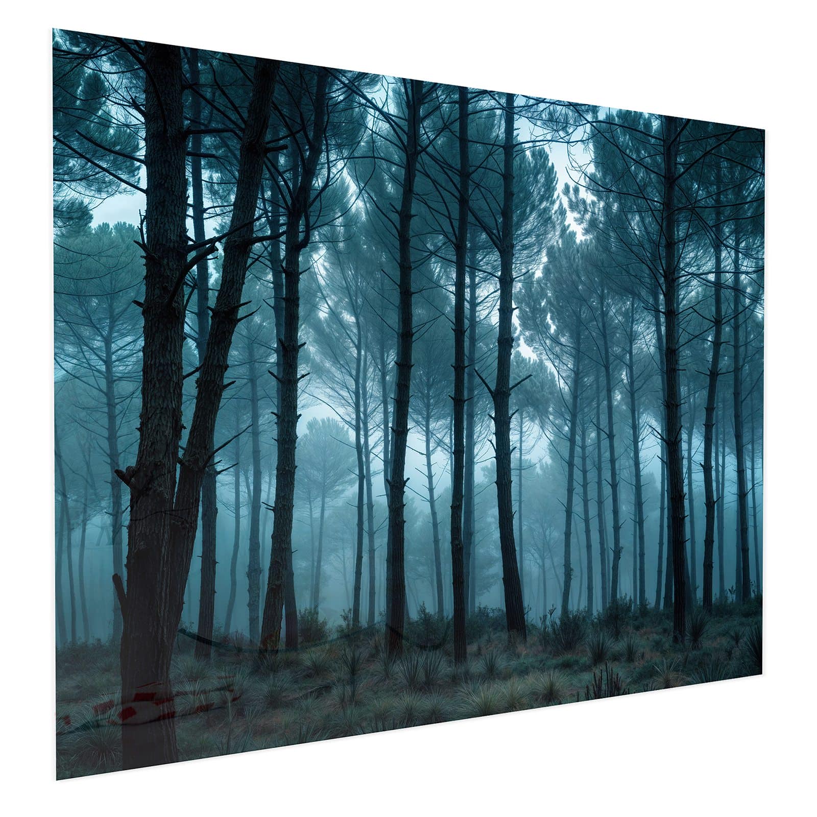 #grösse_75 x 60 cm #grösse_100 x 80 cm