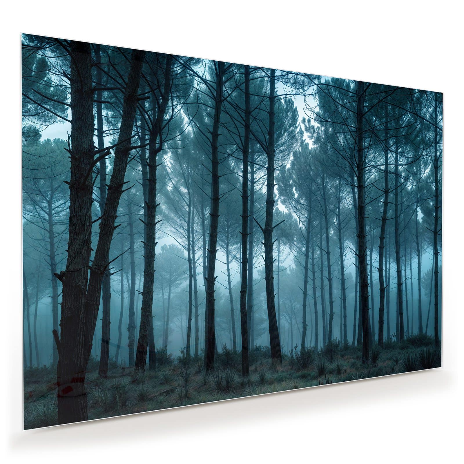 #grösse_100 x 70 cm