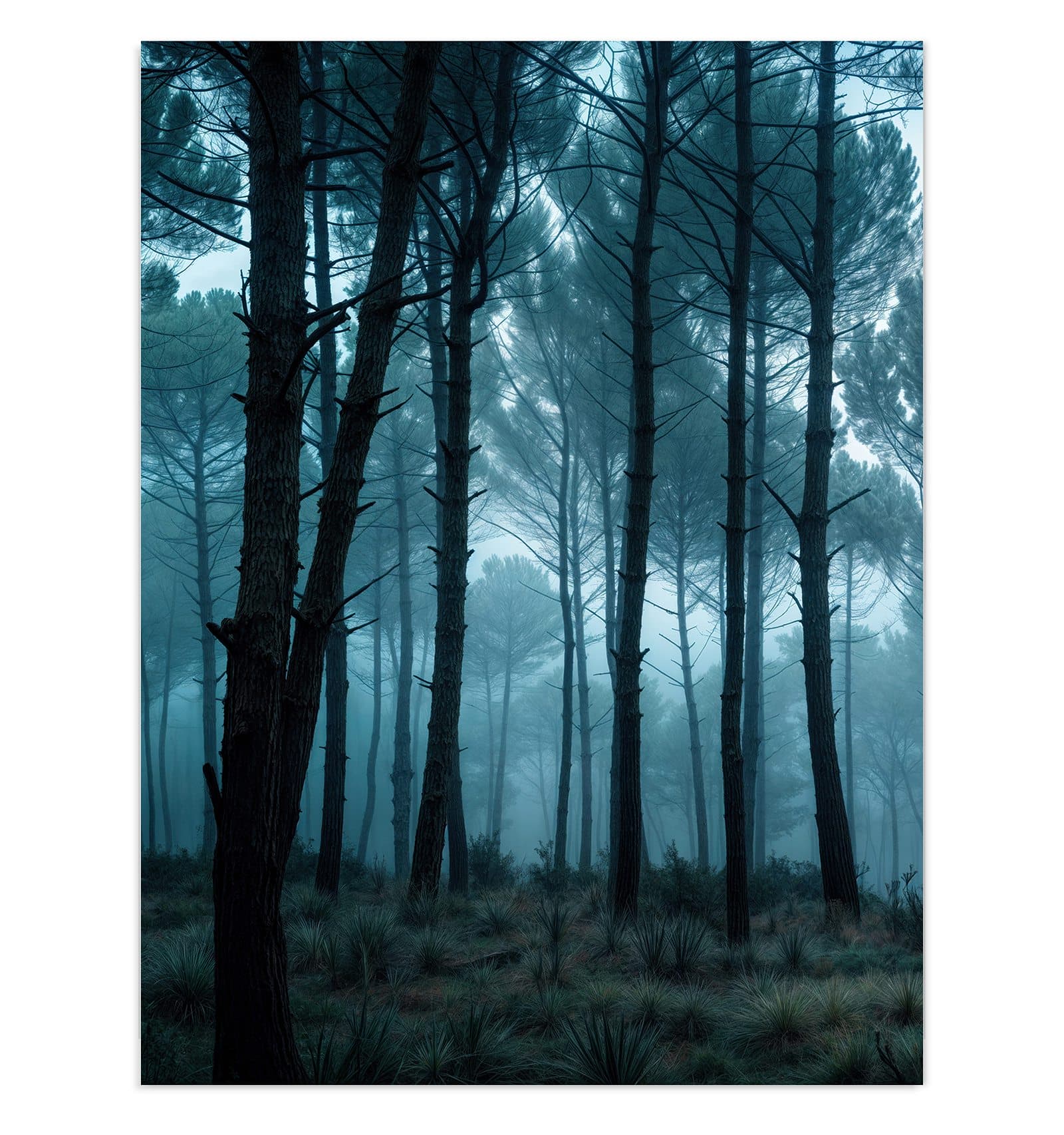 #grösse_30 x 40 cm #grösse_60 x 80 cm #grösse_75 x 100 cm